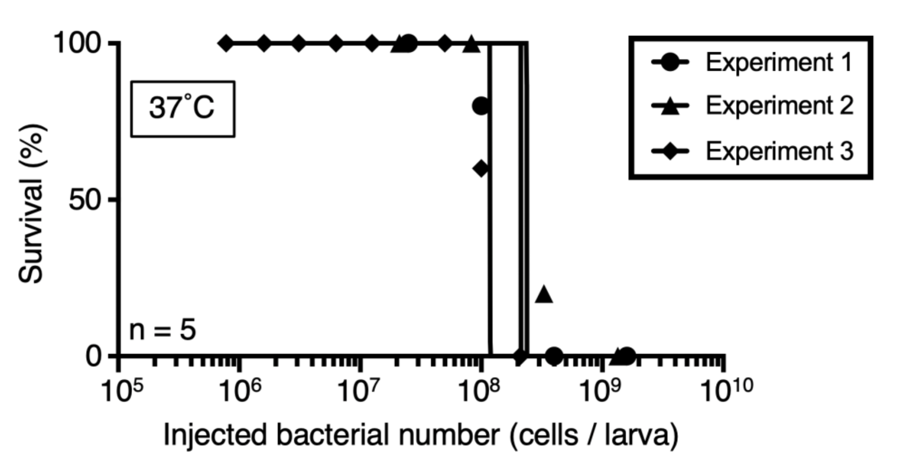 Insects 12 00619 g002 550