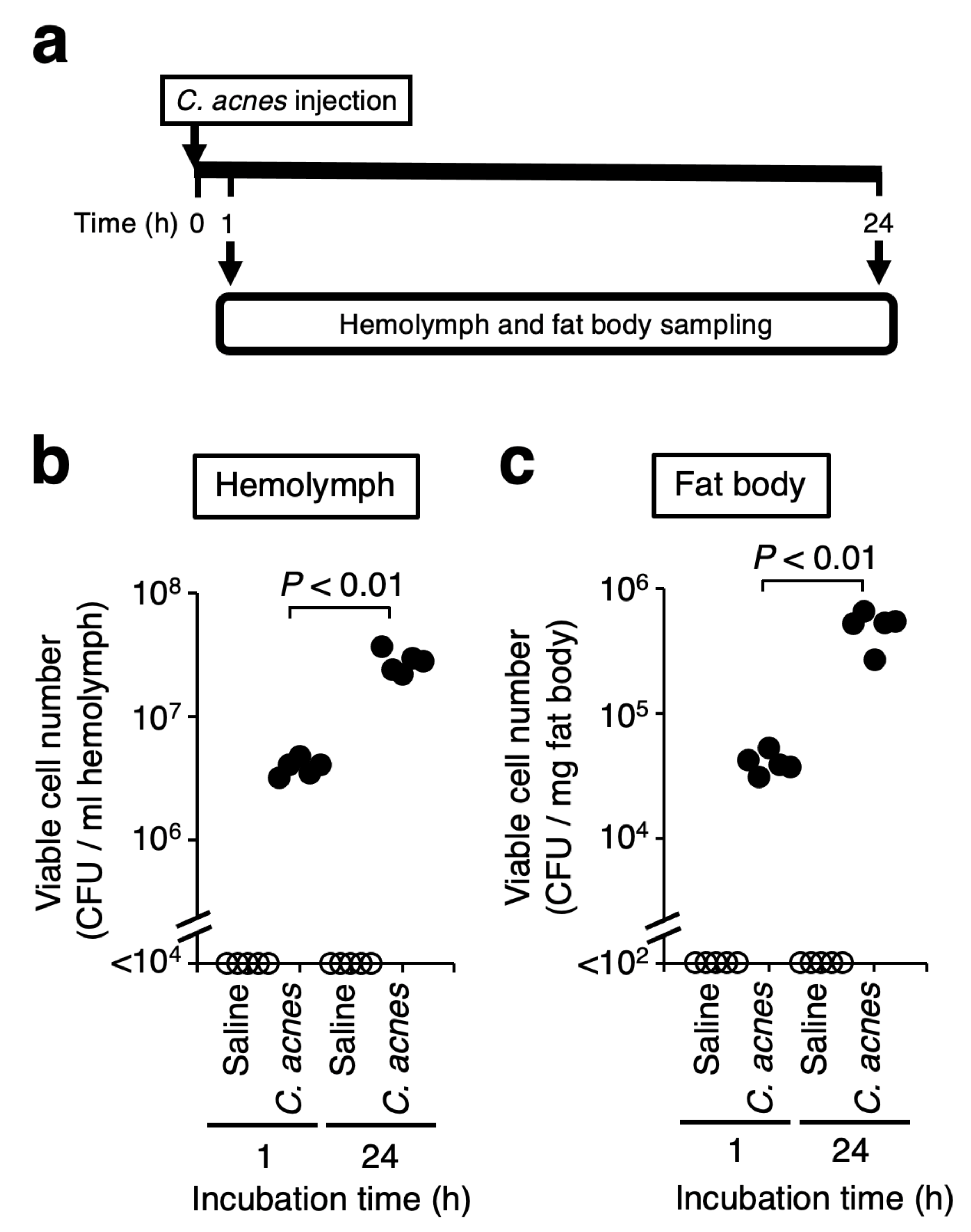 Insects 12 00619 g003 550