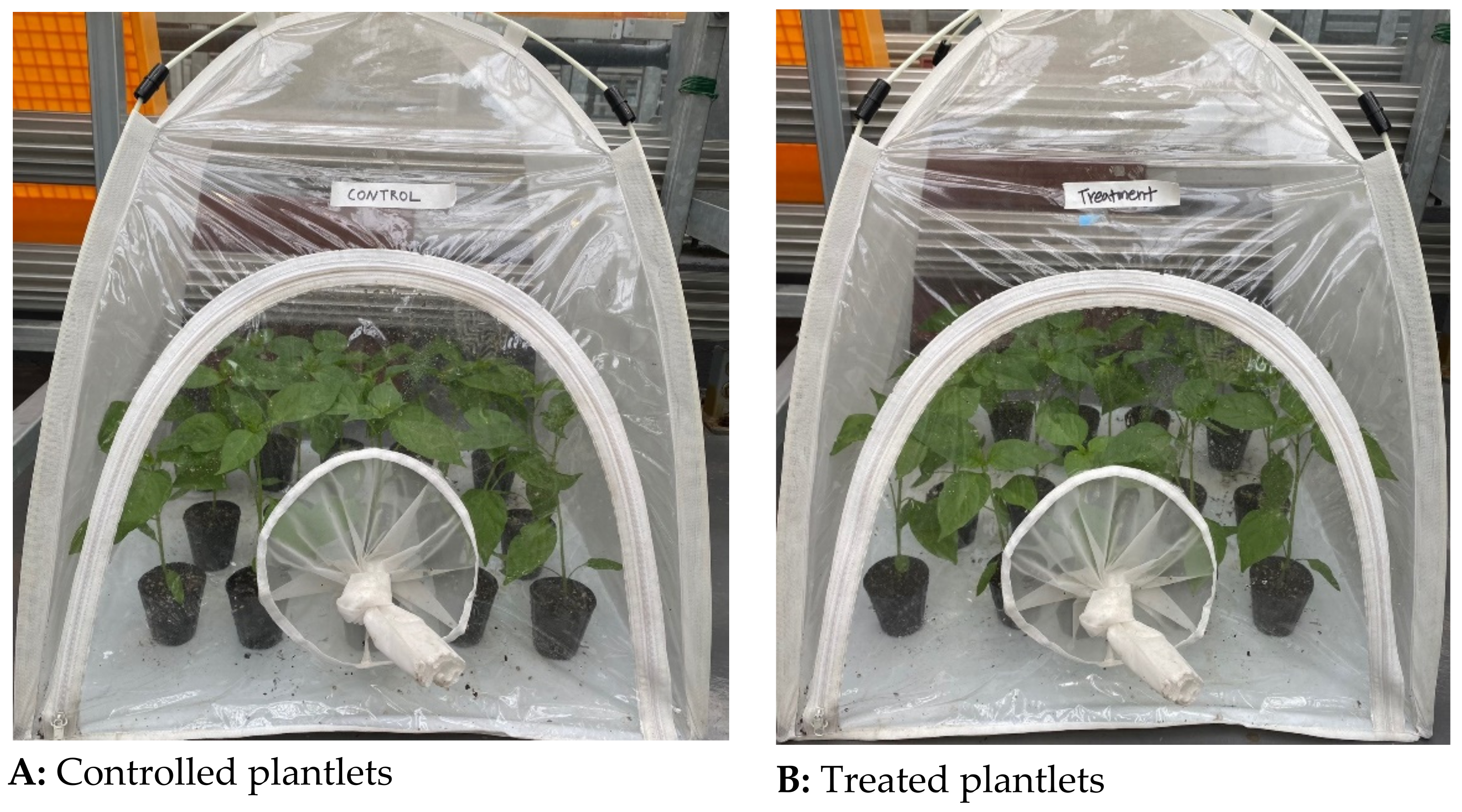 Insects 12 00631 g001 Insects 12 00631 g001