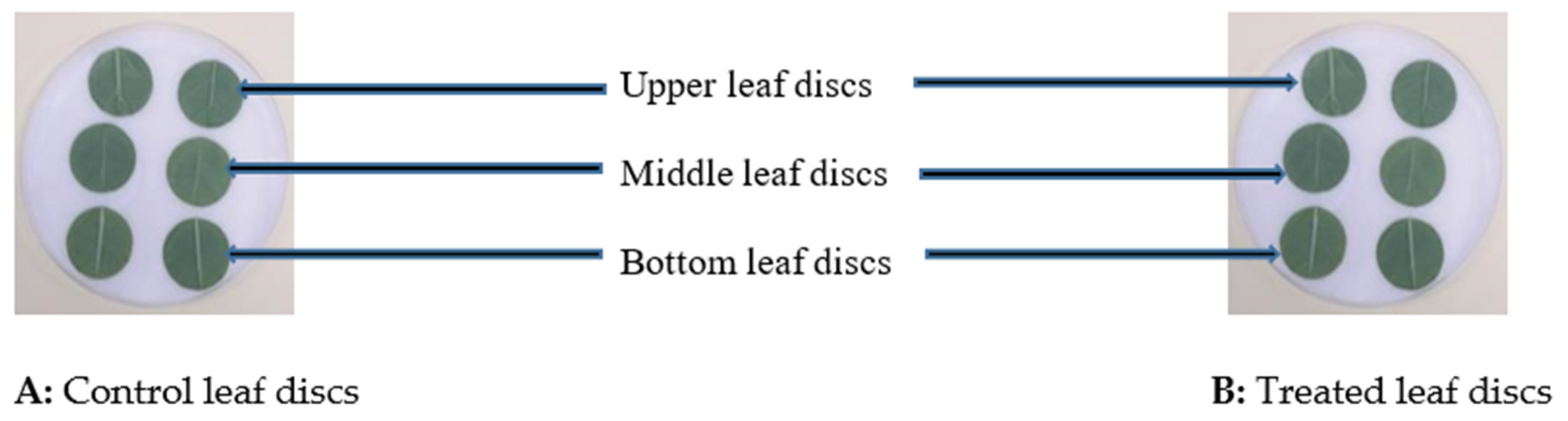Insects 12 00631 g002 Insects 12 00631 g002