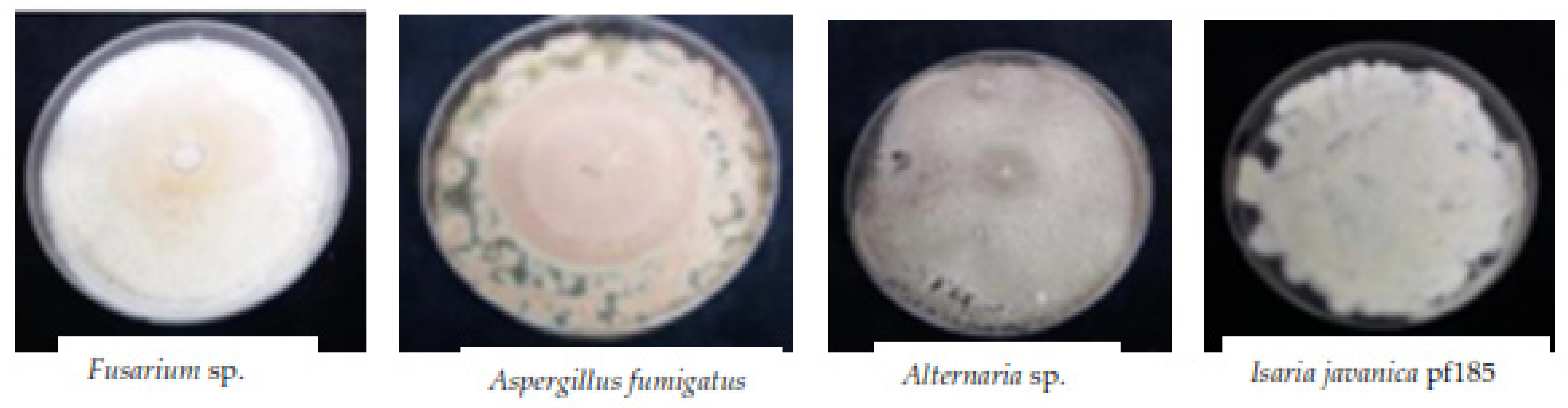 Insects 12 00631 g006 Insects 12 00631 g006