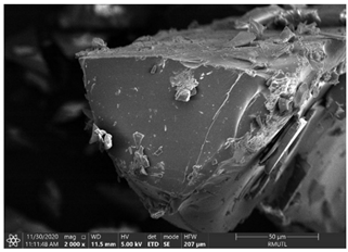 Insects 12 00633 i001 Insects 12 00633 i001