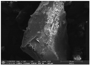 Insects 12 00633 i002 Insects 12 00633 i002