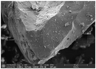 Insects 12 00633 i005 Insects 12 00633 i005