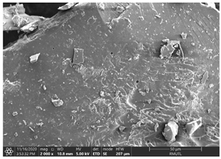 Insects 12 00633 i006 Insects 12 00633 i006