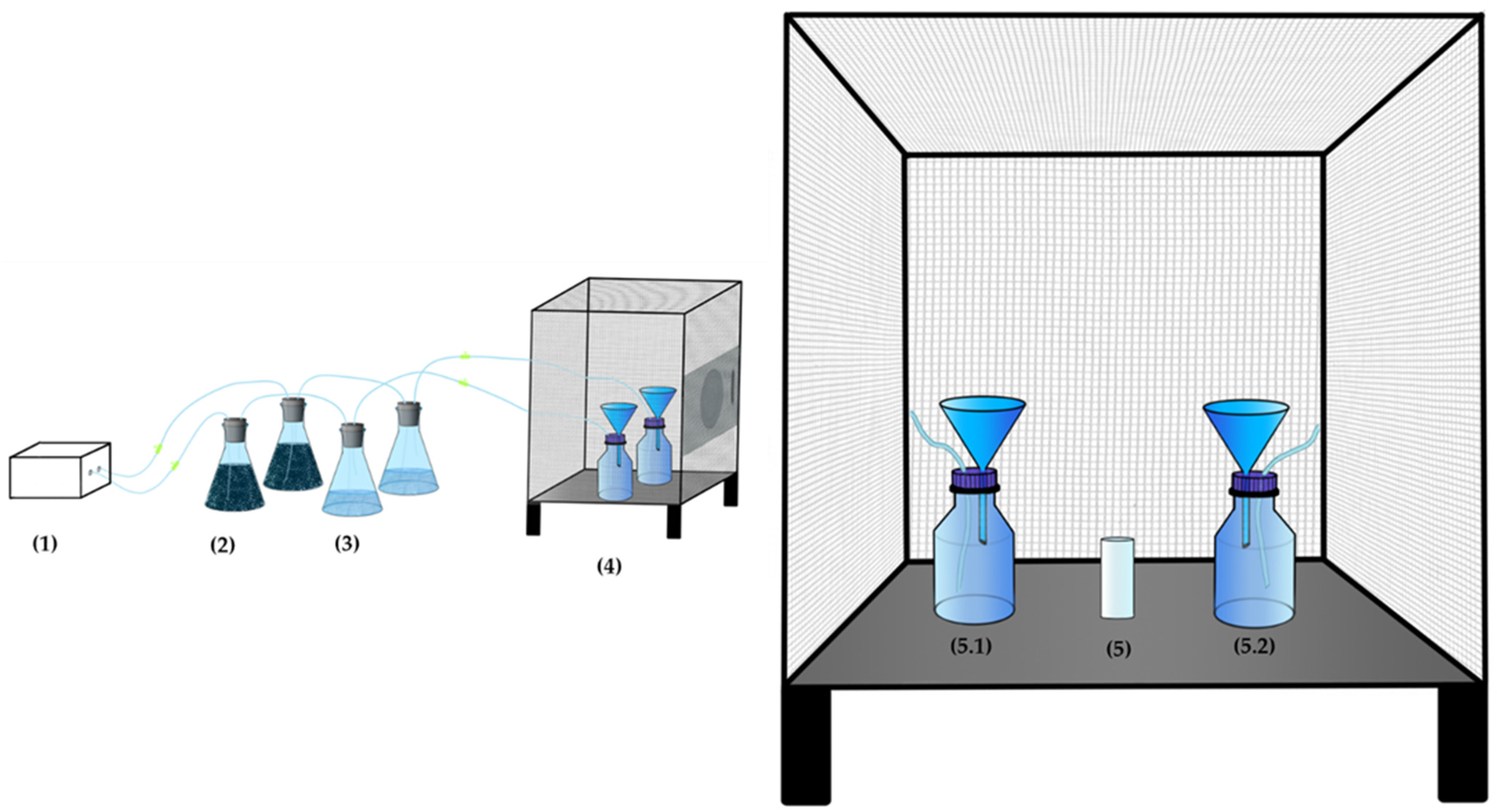 Insects 12 00633 sch001 Insects 12 00633 sch001