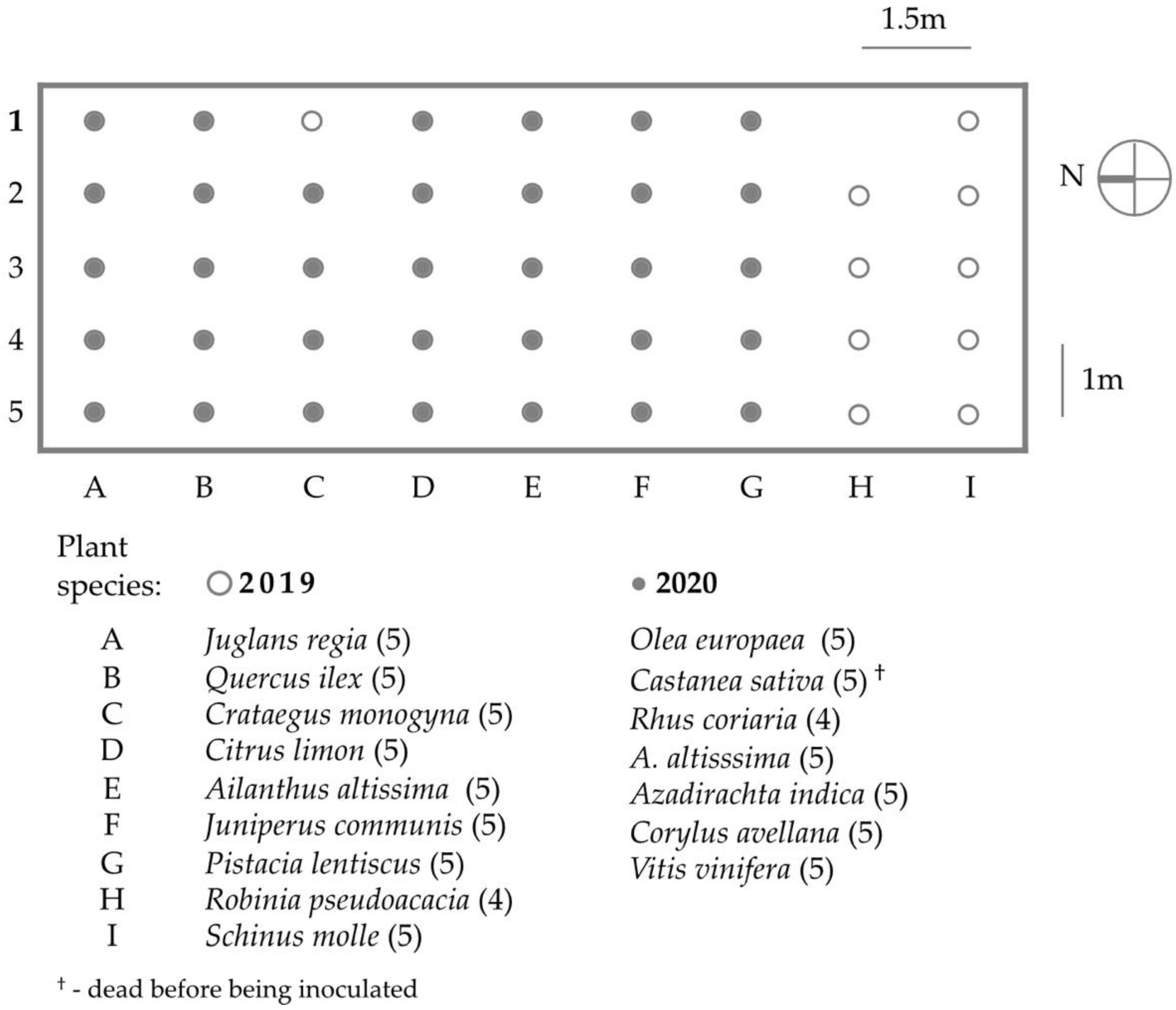 Insects 12 00637 g001