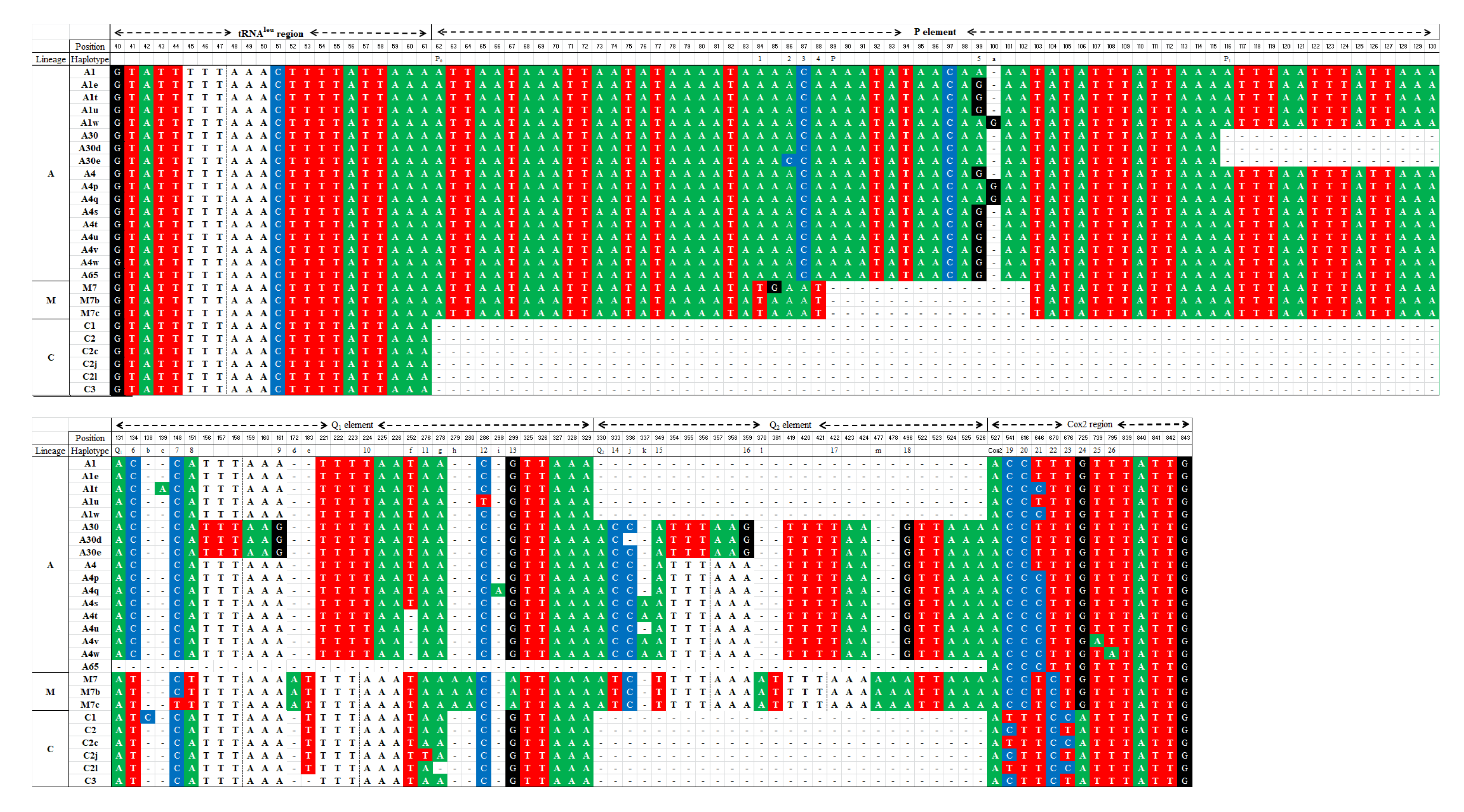 Insects 12 00641 g002