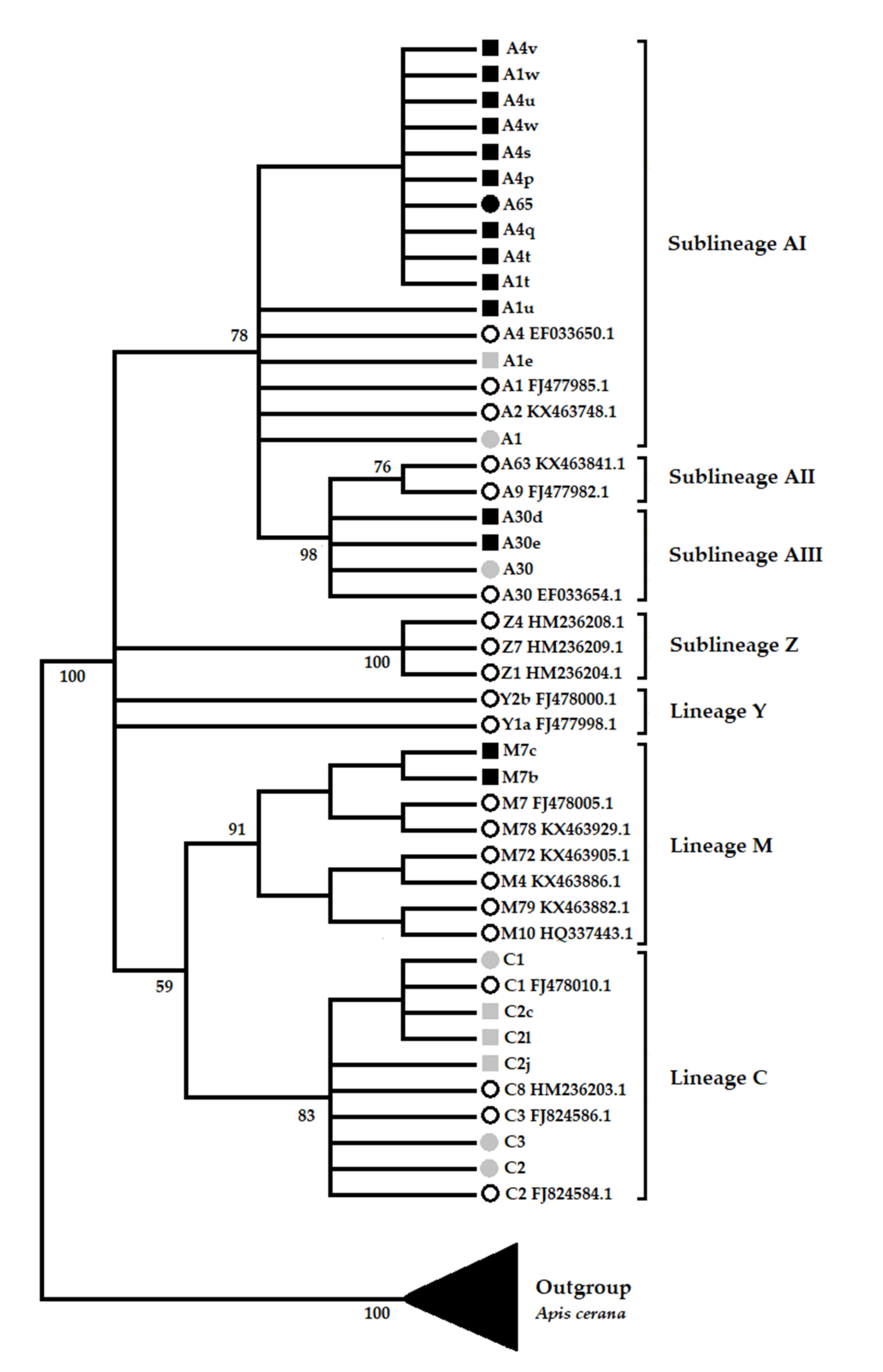 Insects 12 00641 g003