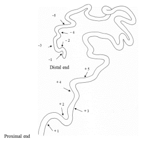 Effects of Age, Phase Variation and Pheromones on Male Sperm Storage in ...