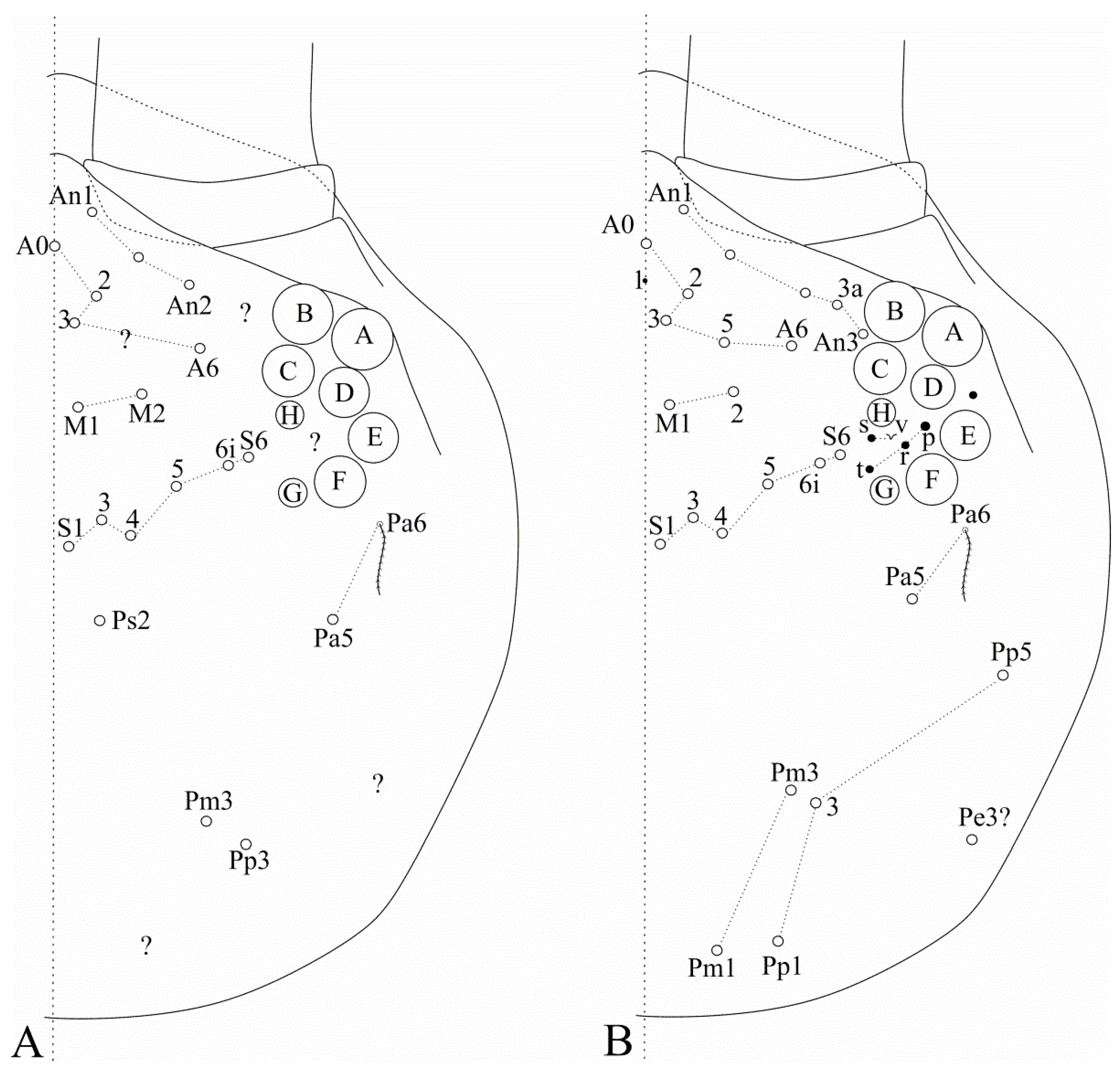 Insects 12 00650 g002