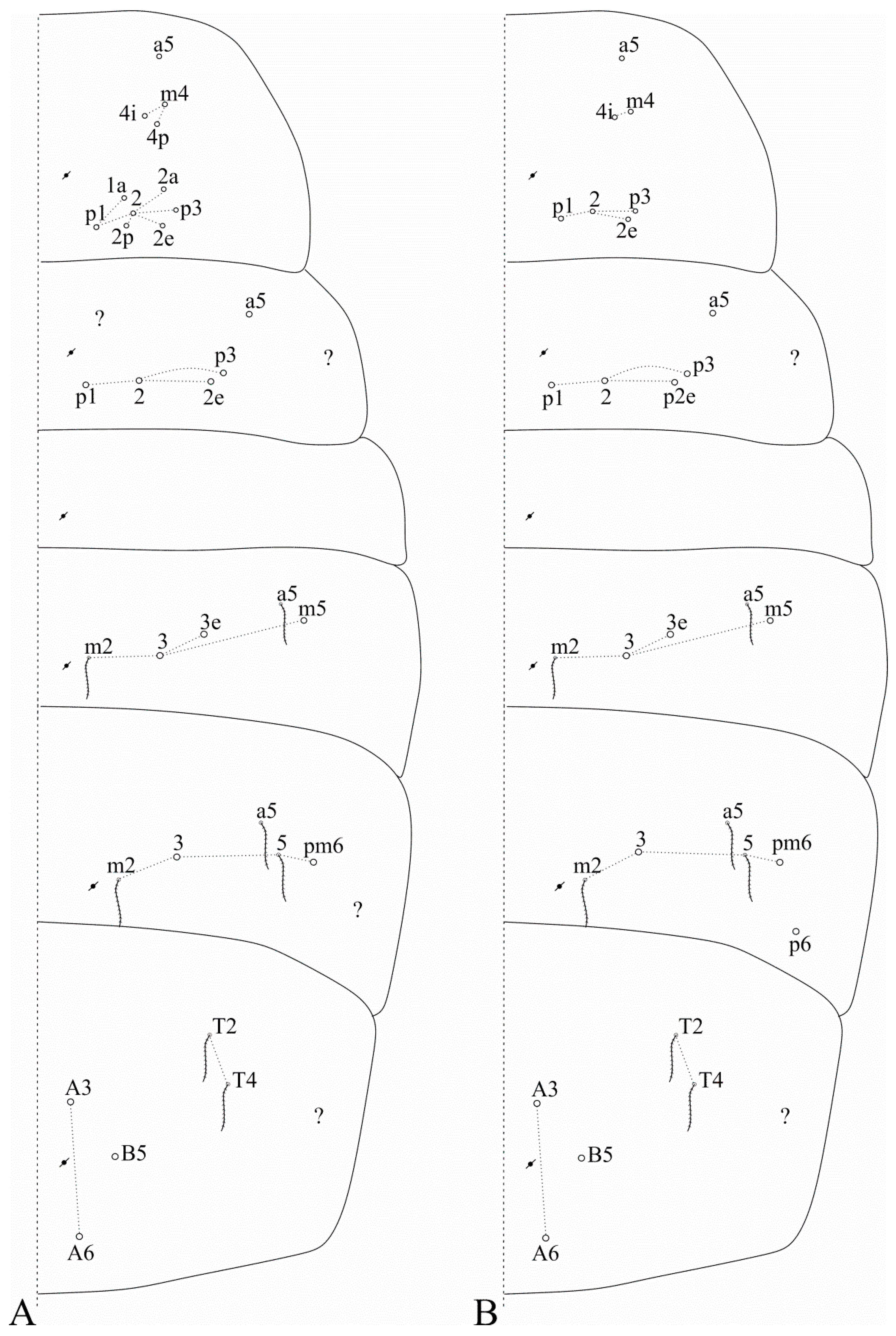 Insects 12 00650 g003