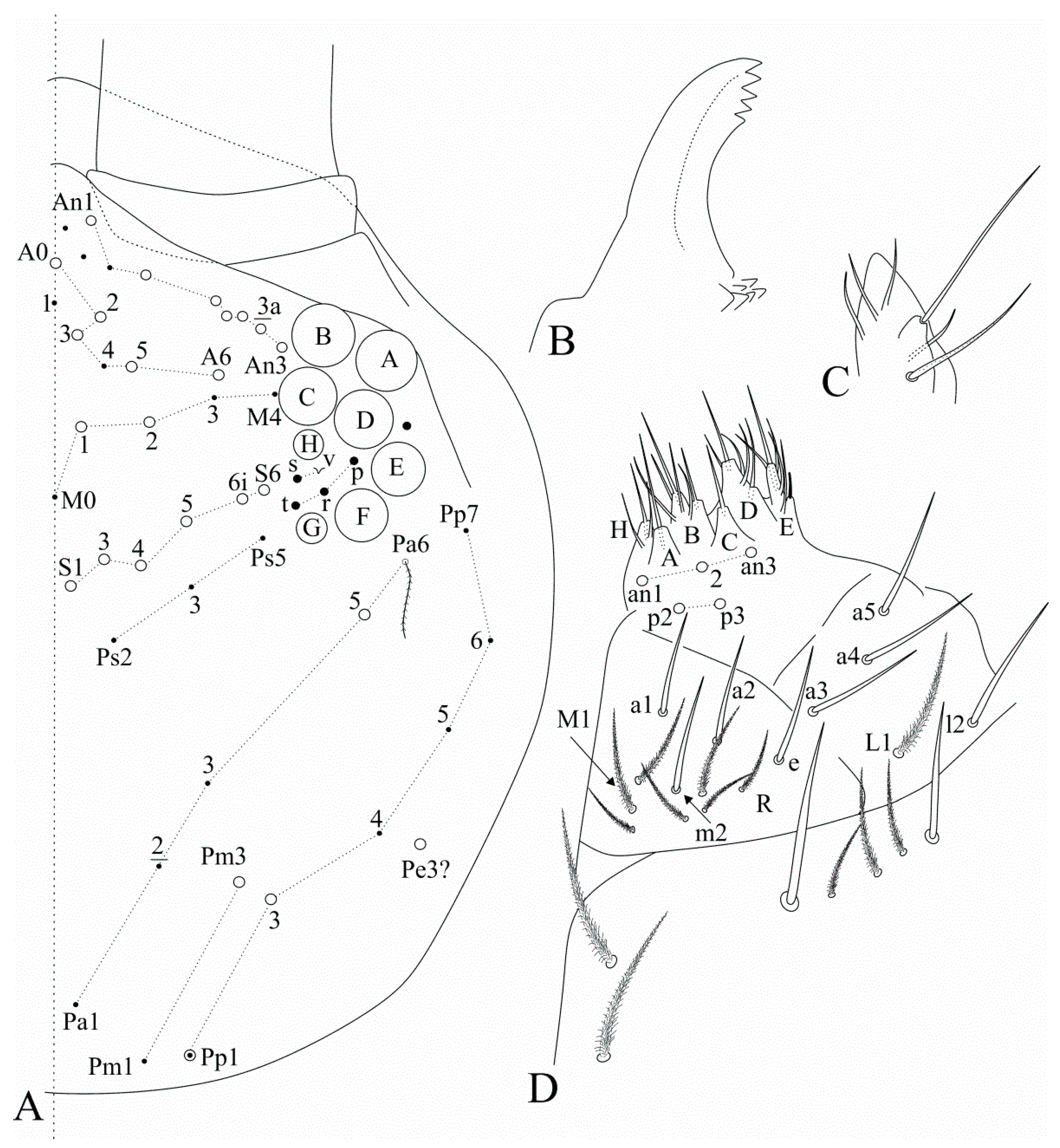 Insects 12 00650 g004