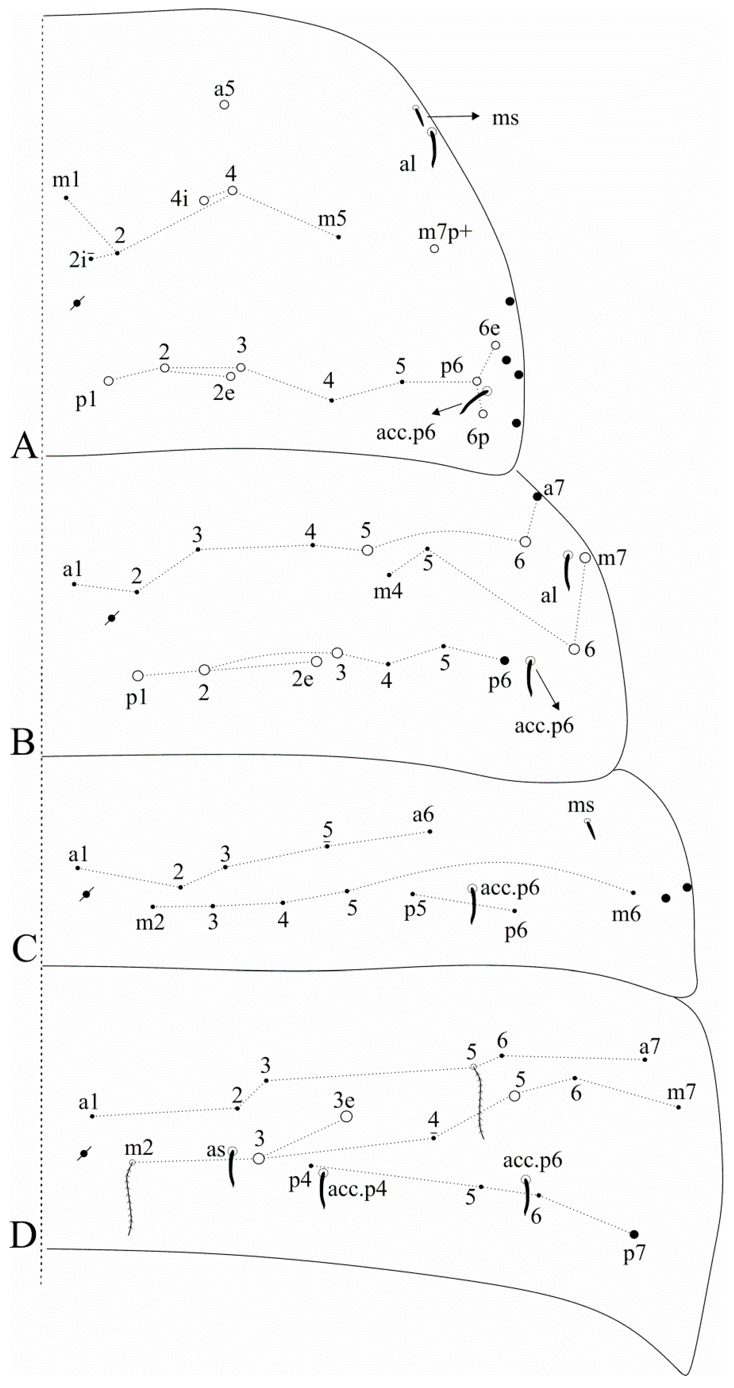 Insects 12 00650 g005