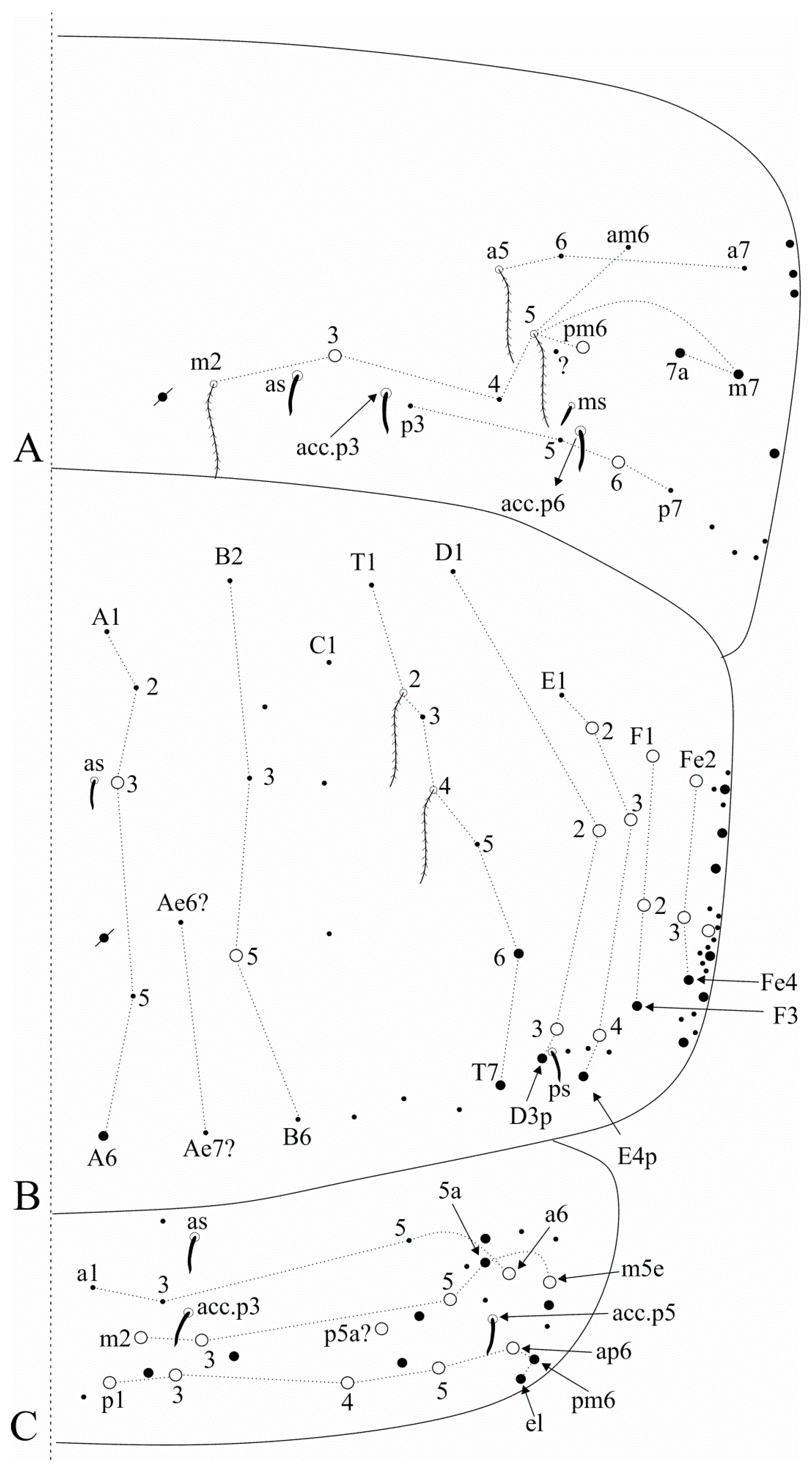 Insects 12 00650 g006