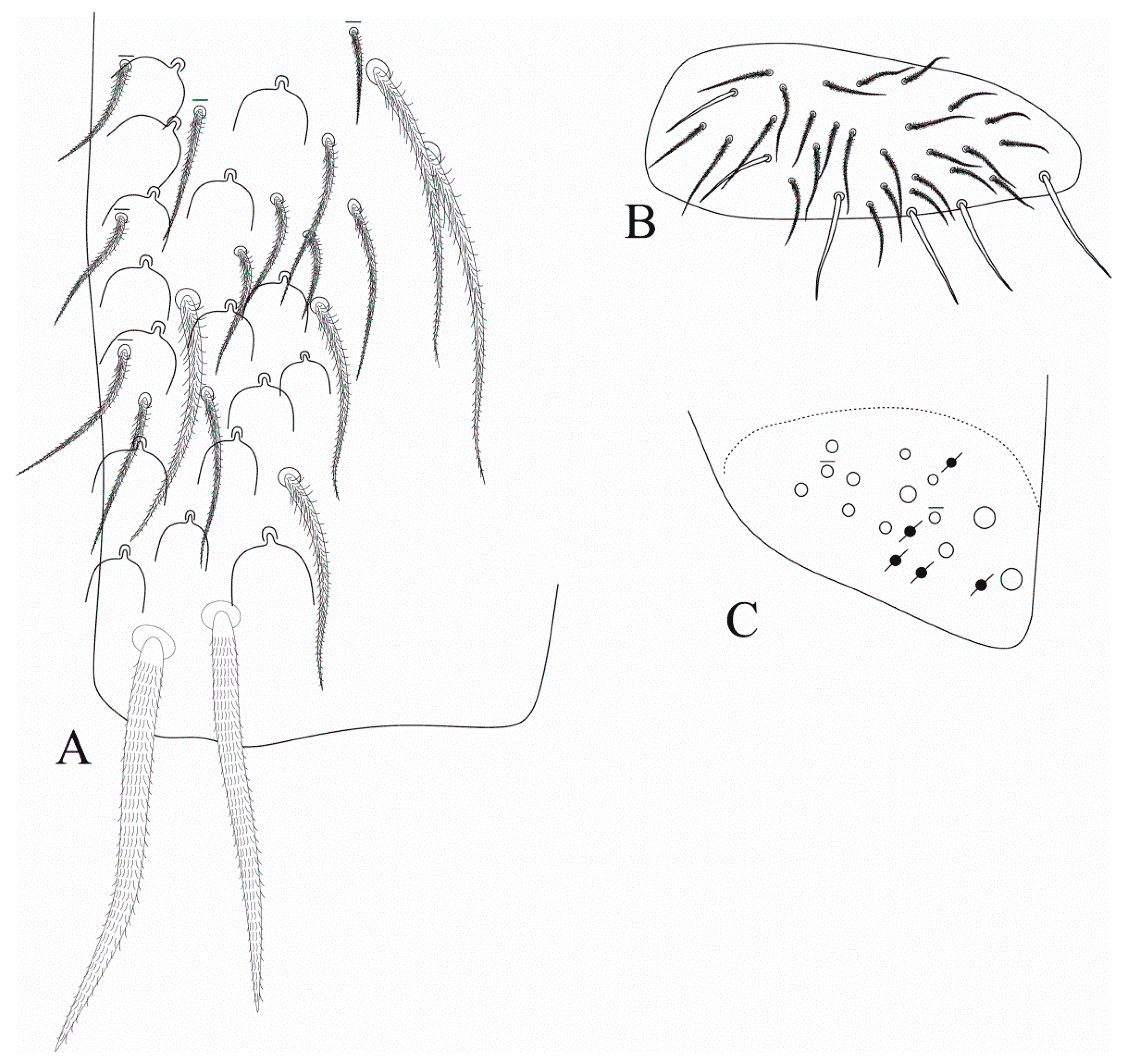 Insects 12 00650 g007