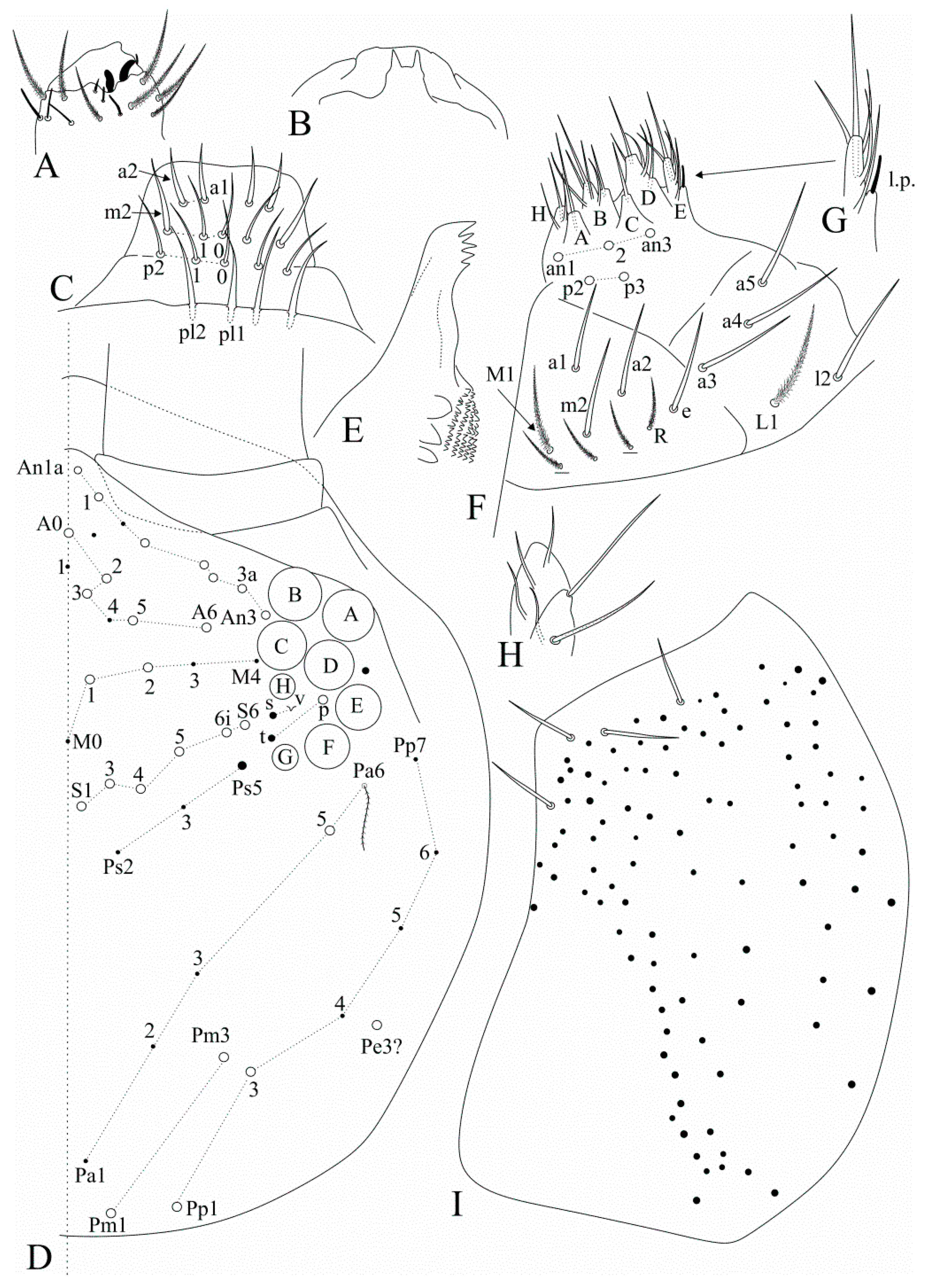 Insects 12 00650 g008