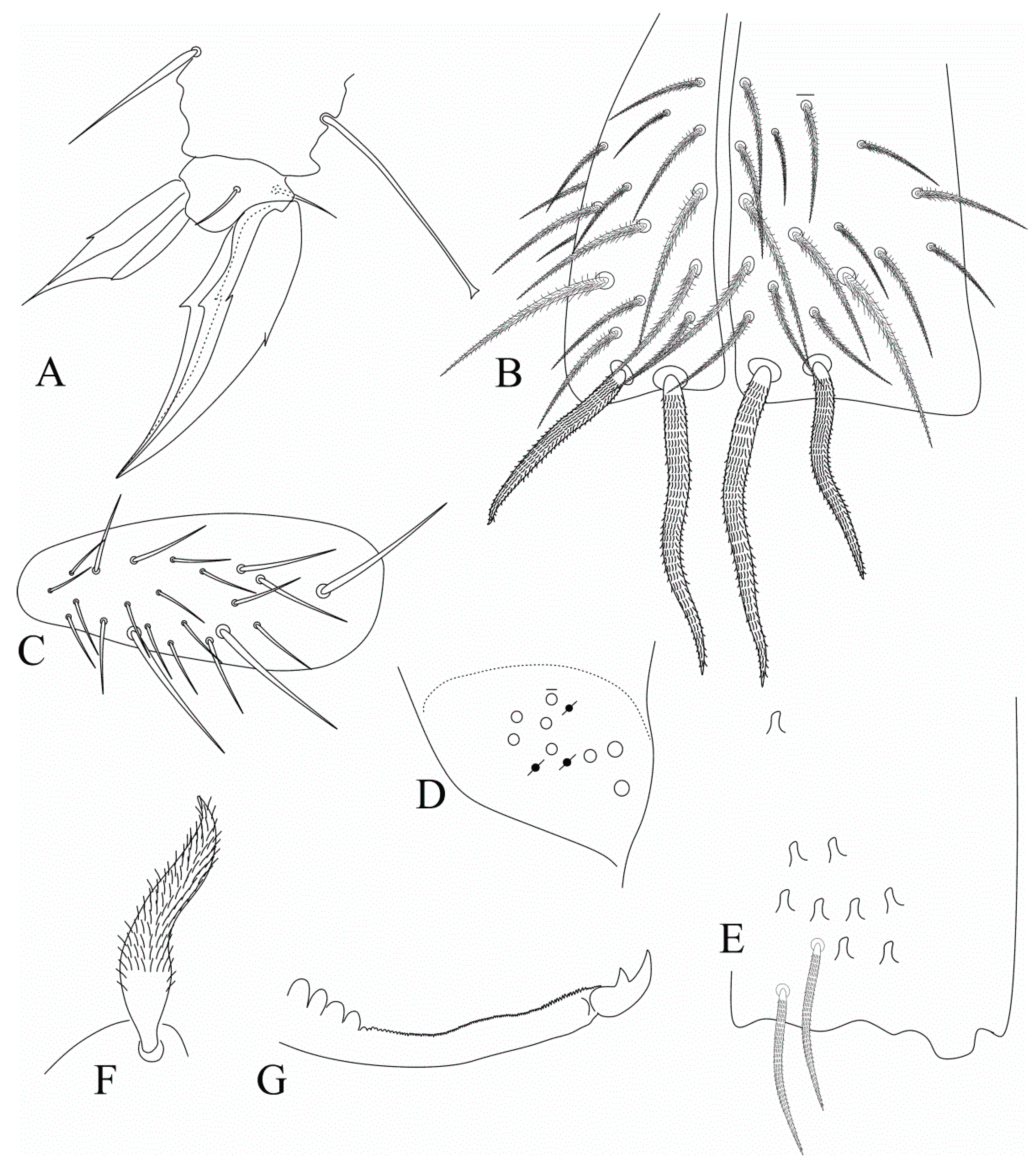 Insects 12 00650 g011