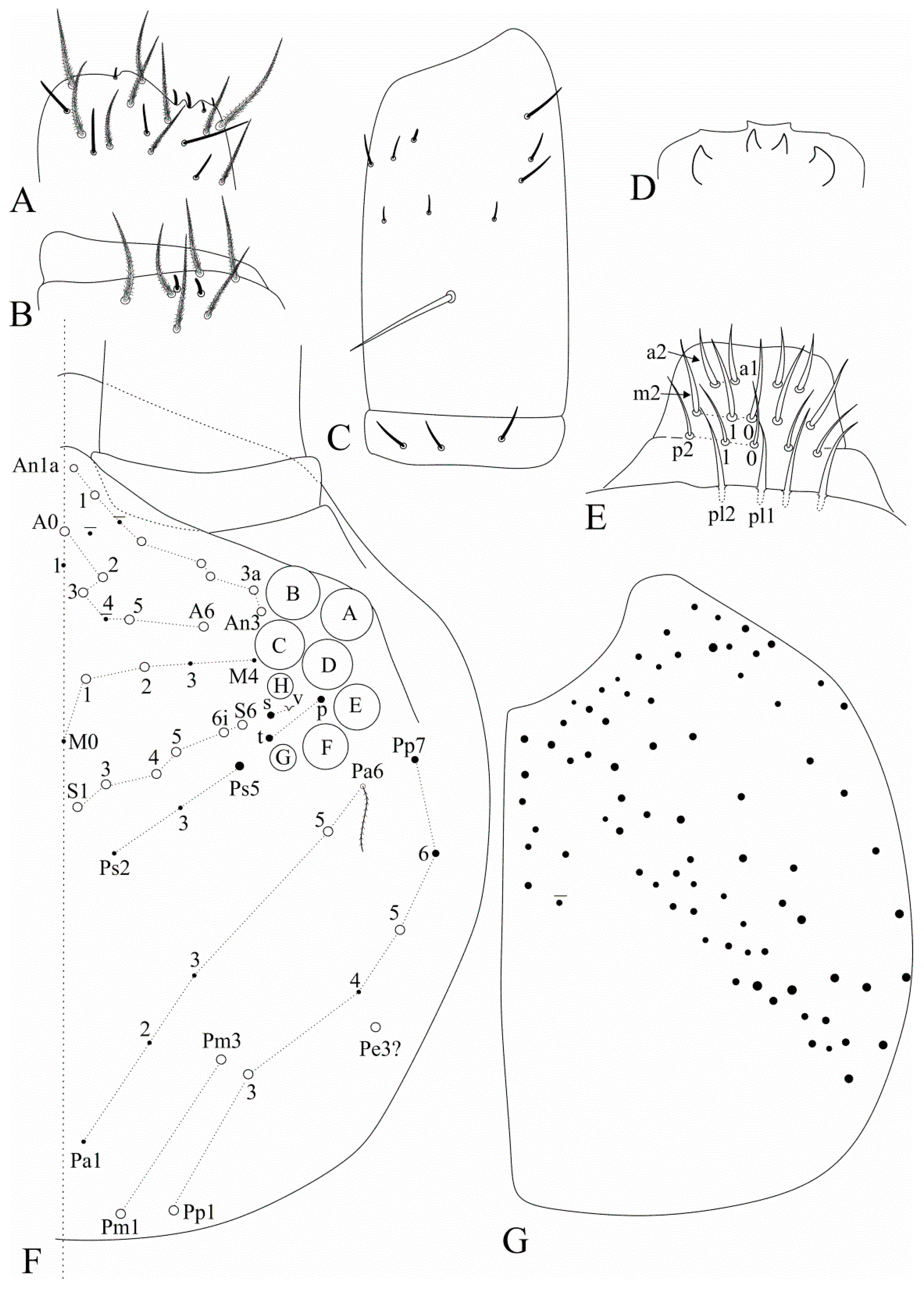 Insects 12 00650 g012