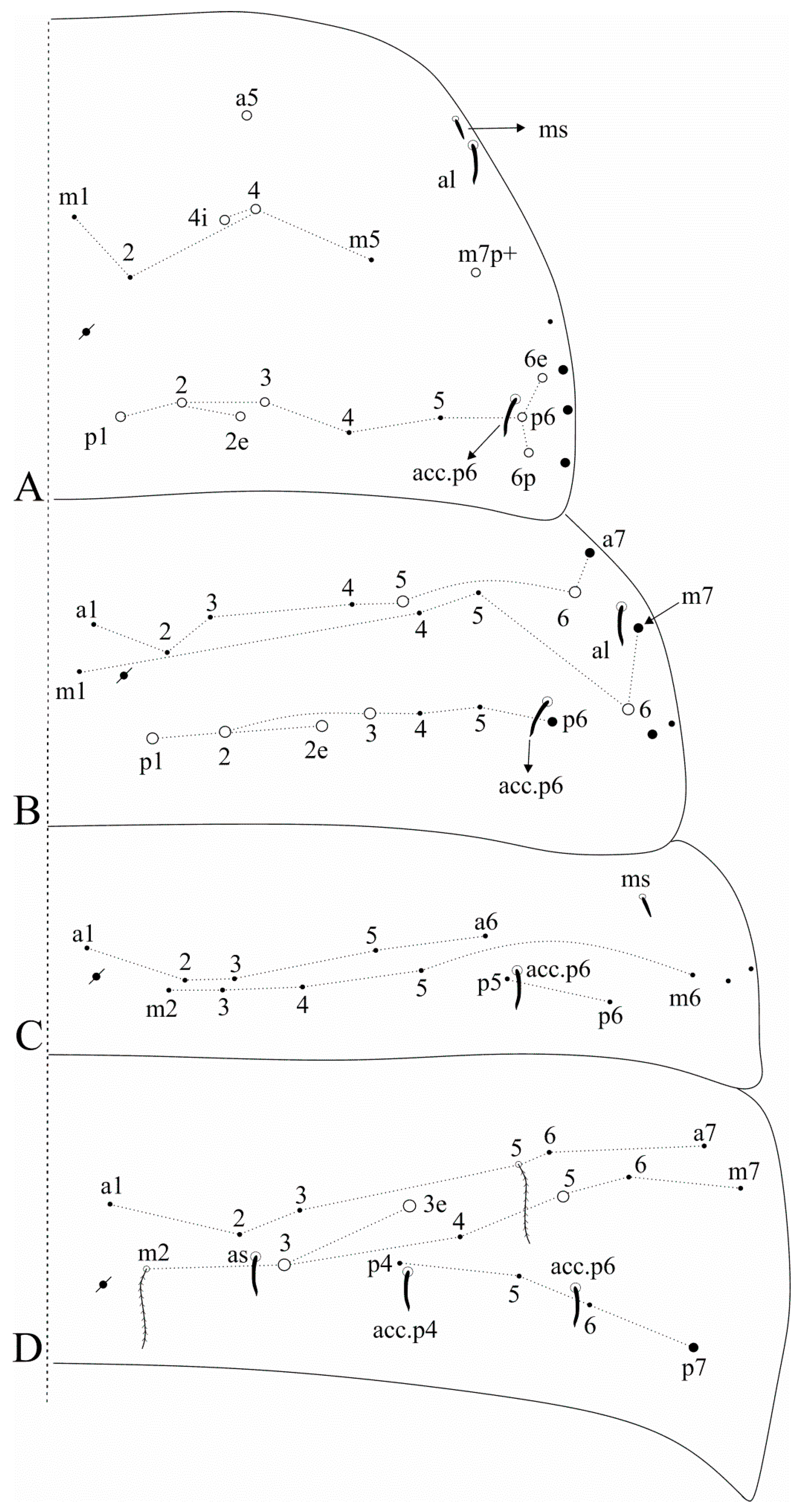 Insects 12 00650 g013