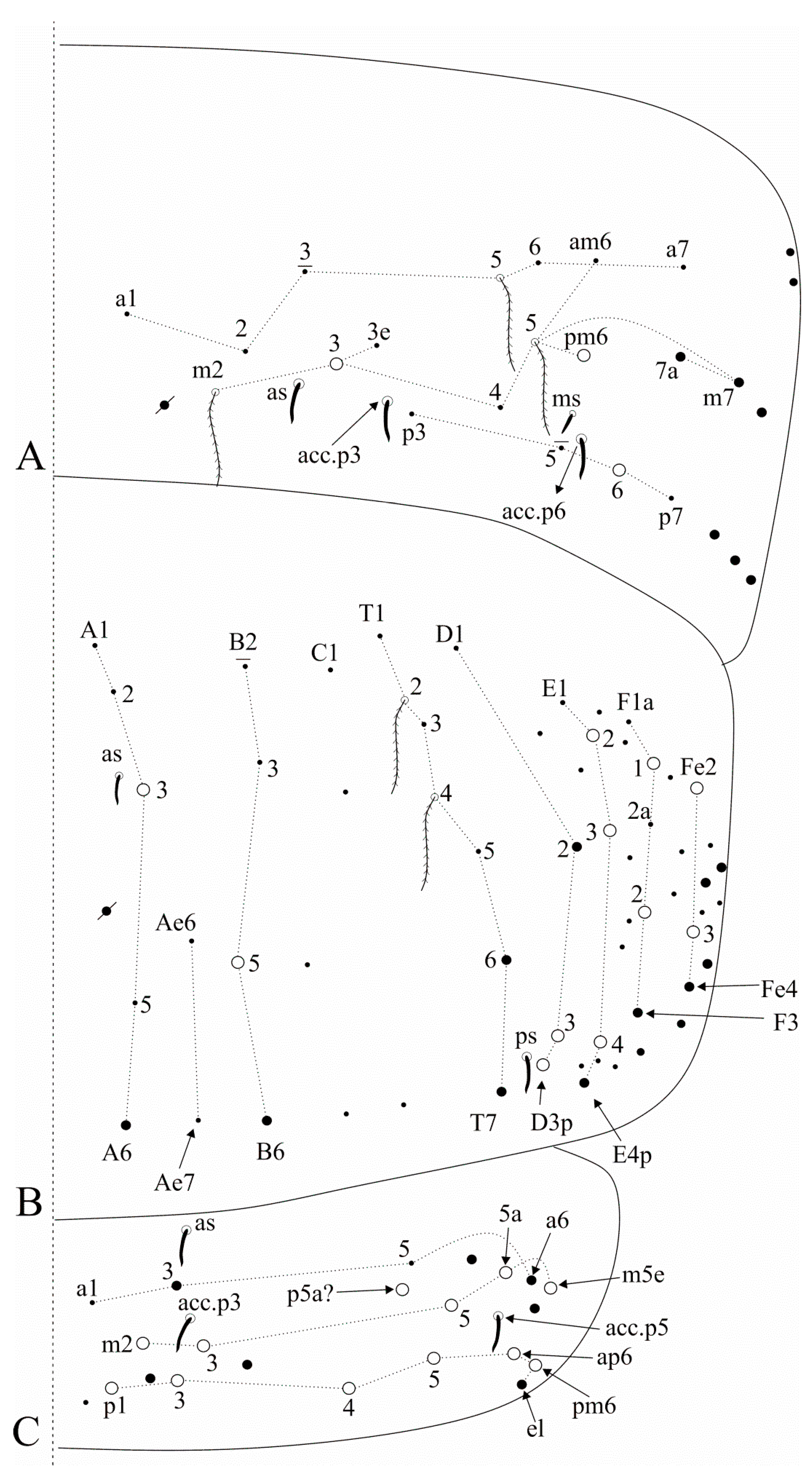Insects 12 00650 g014