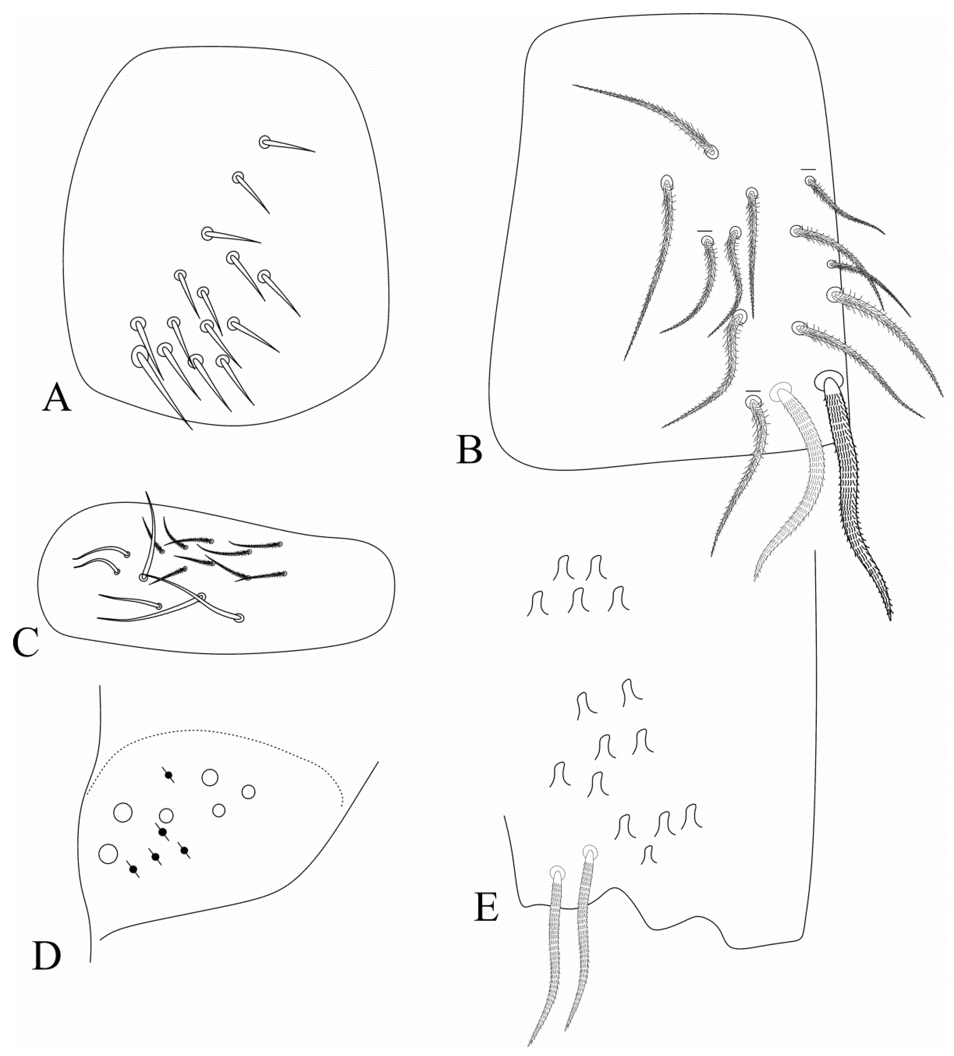 Insects 12 00650 g015