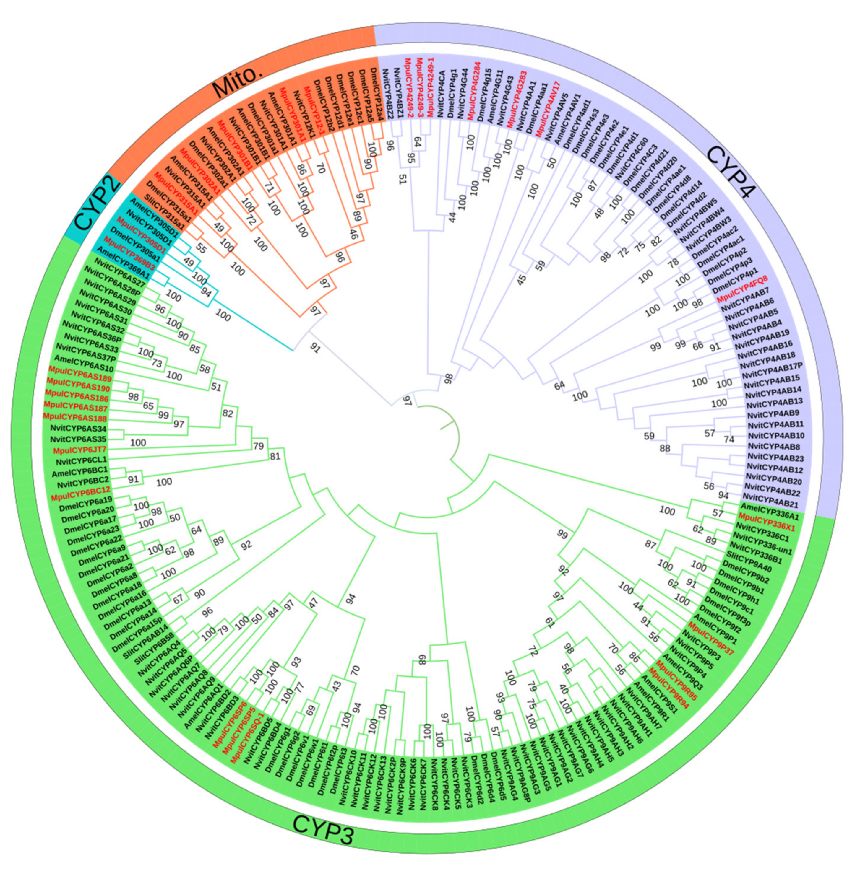 Insects 12 00651 g002 550