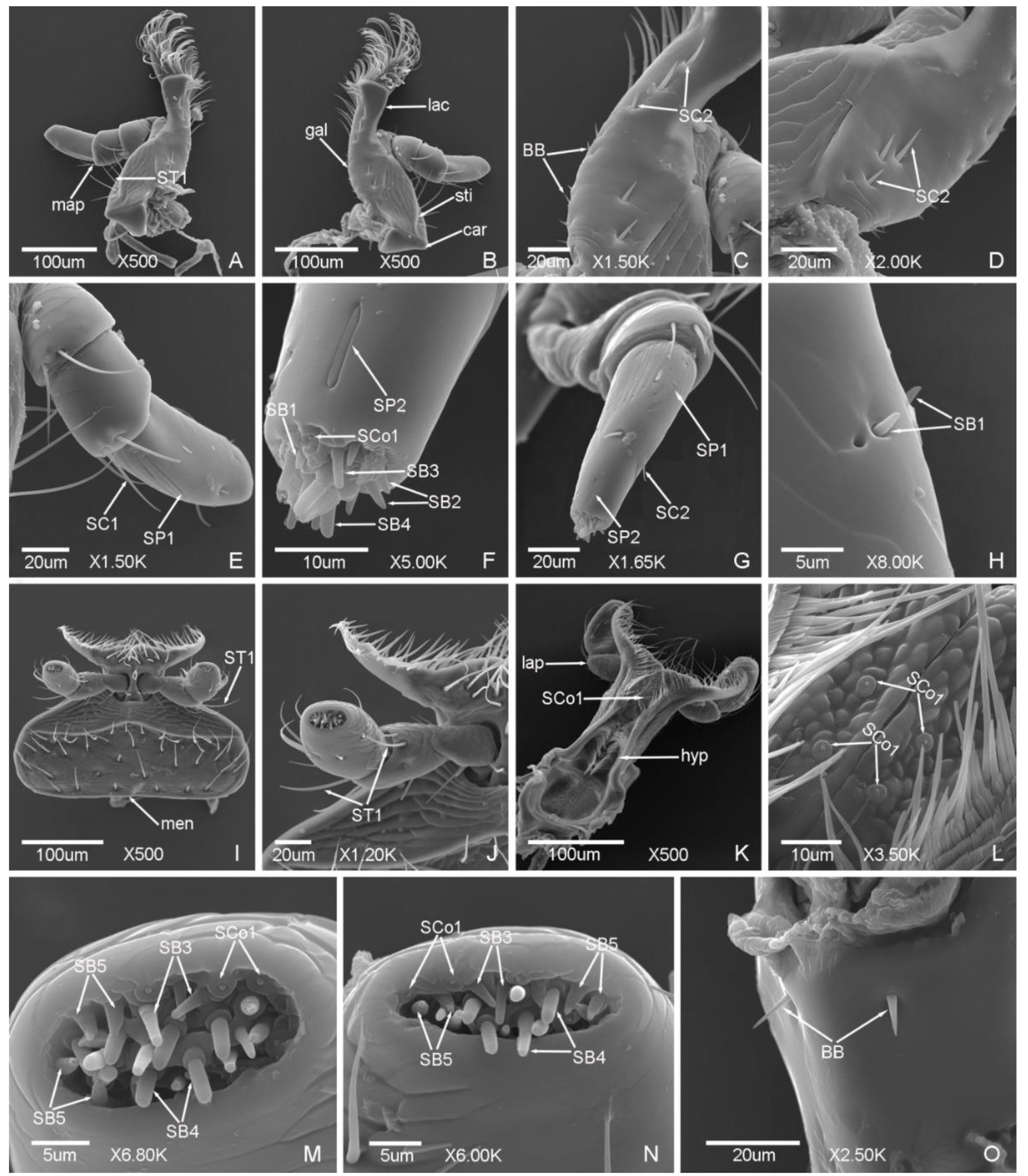 Insects 12 00659 g009 Insects 12 00659 g009
