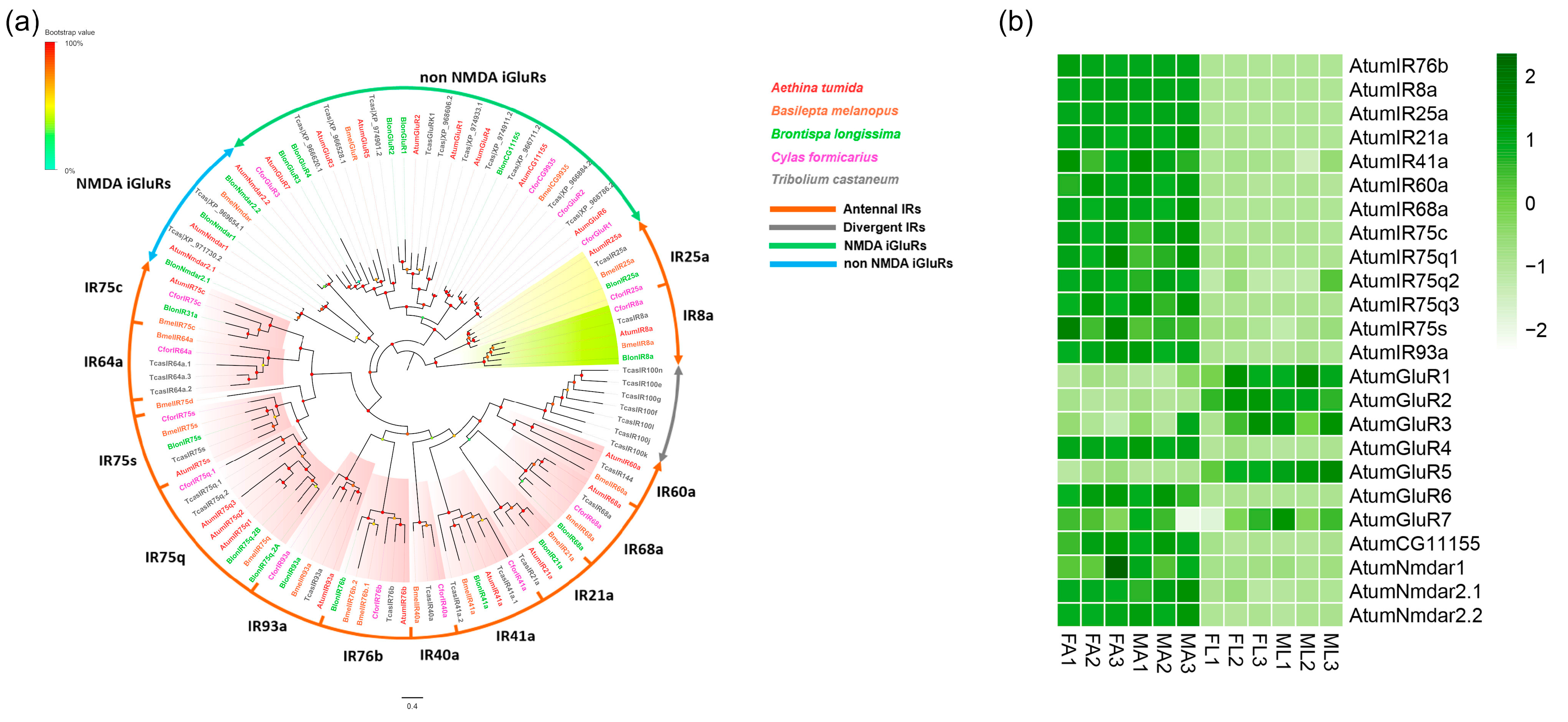 Insects 12 00661 g002