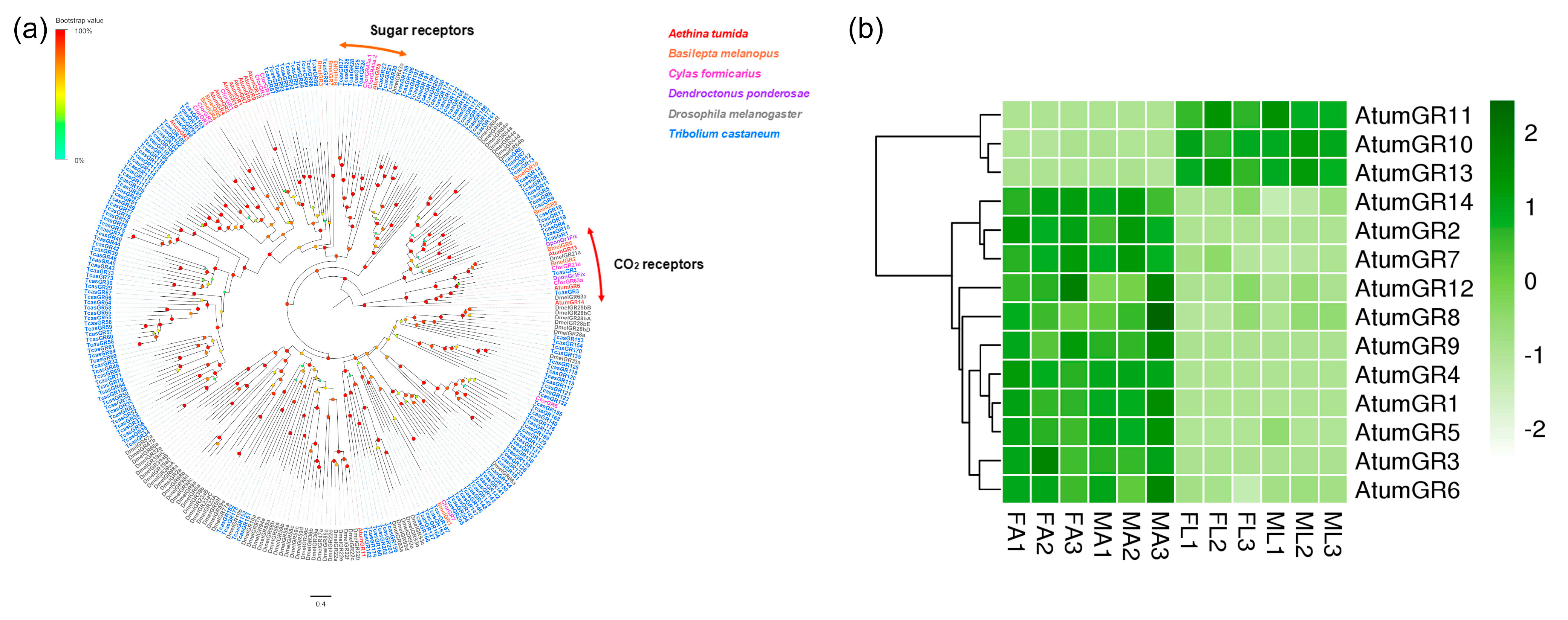 Insects 12 00661 g003