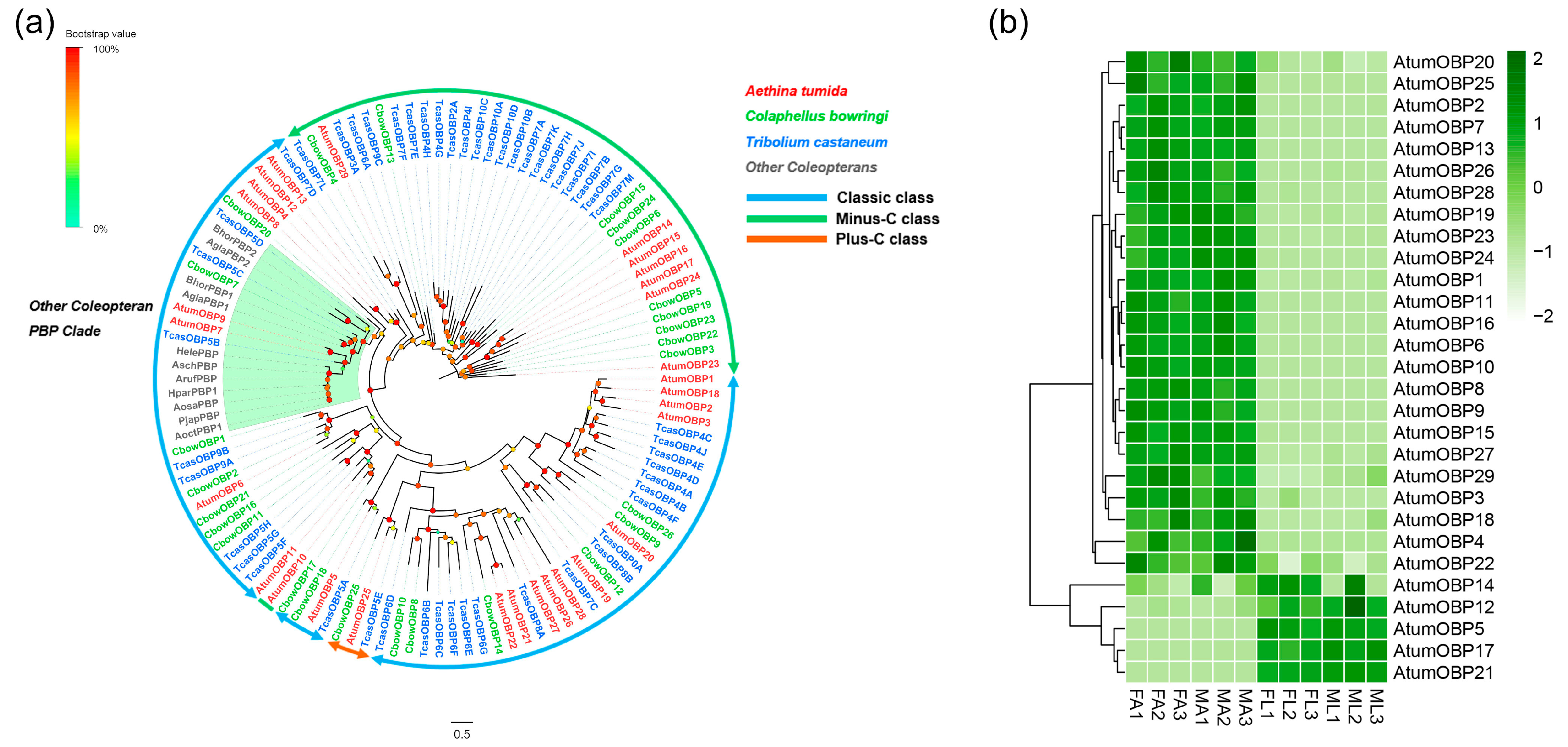Insects 12 00661 g005