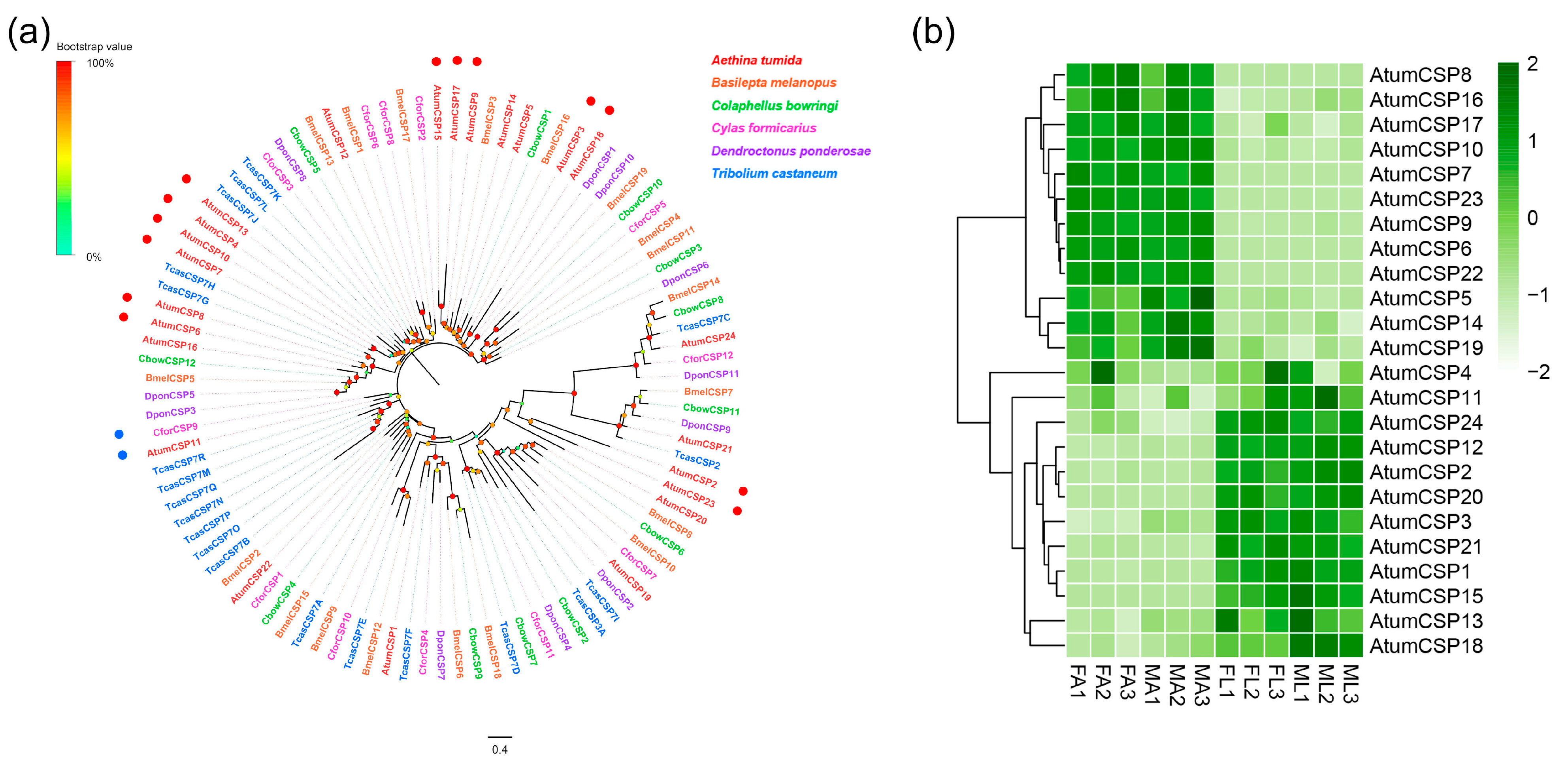 Insects 12 00661 g006