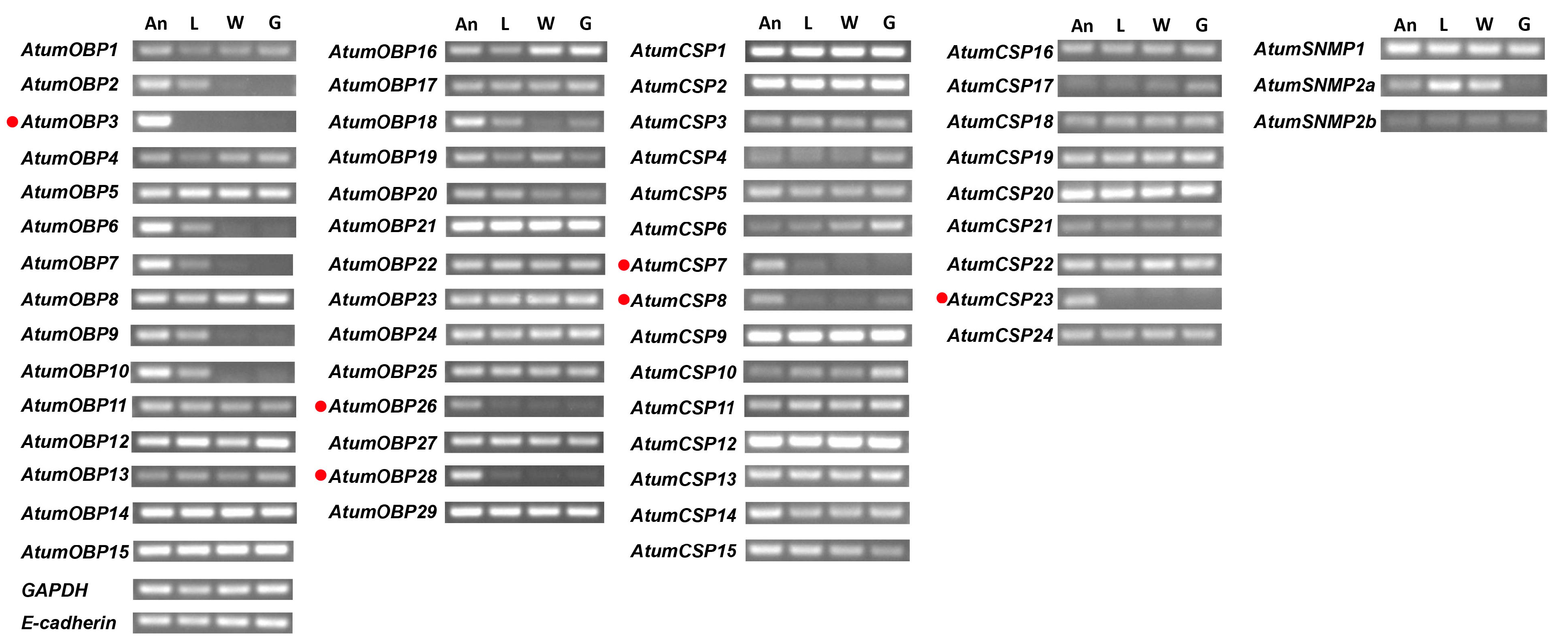 Insects 12 00661 g007