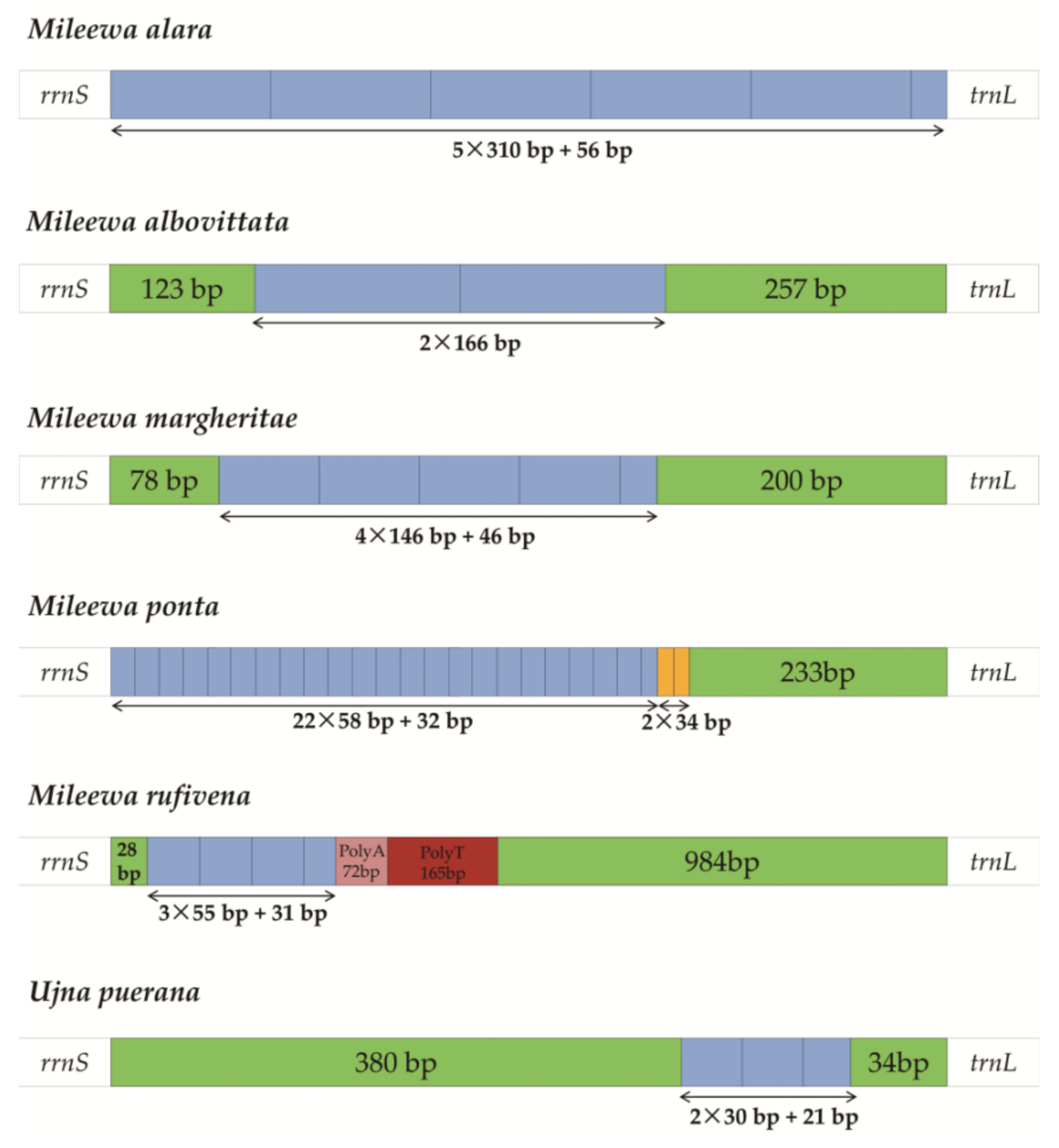 Insects 12 00668 g006