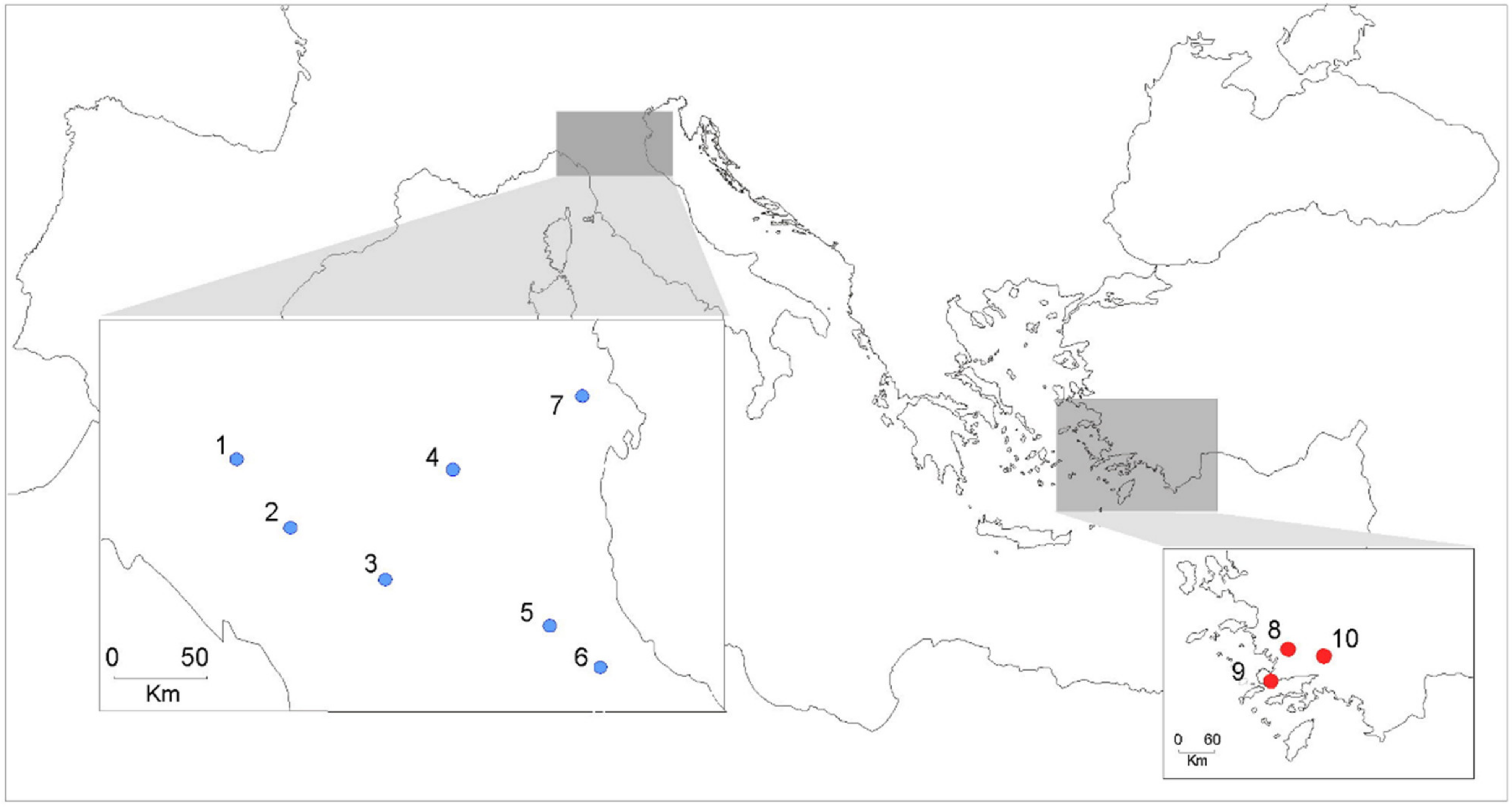 Insects 12 00676 g001