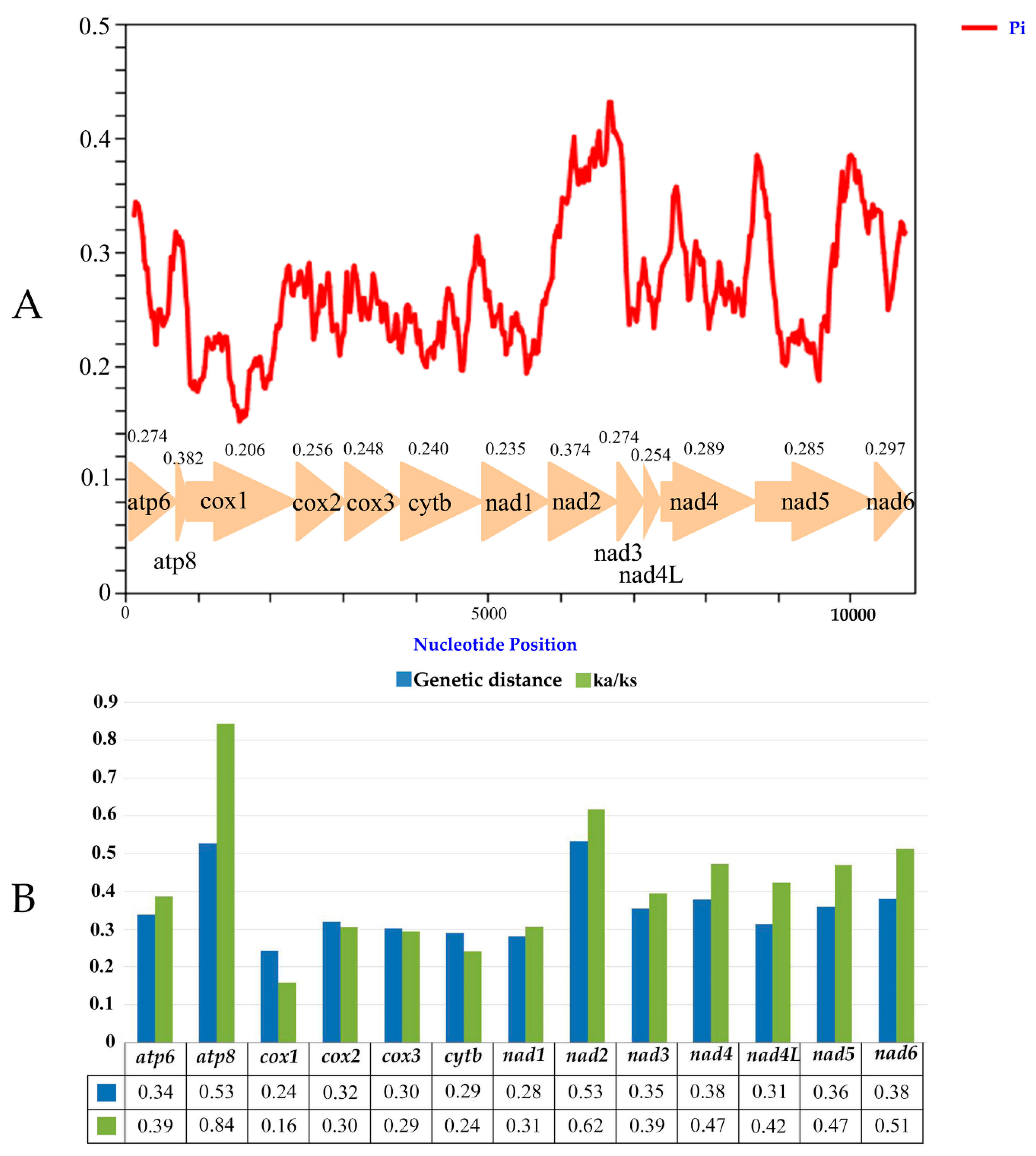 Insects 12 00678 g005
