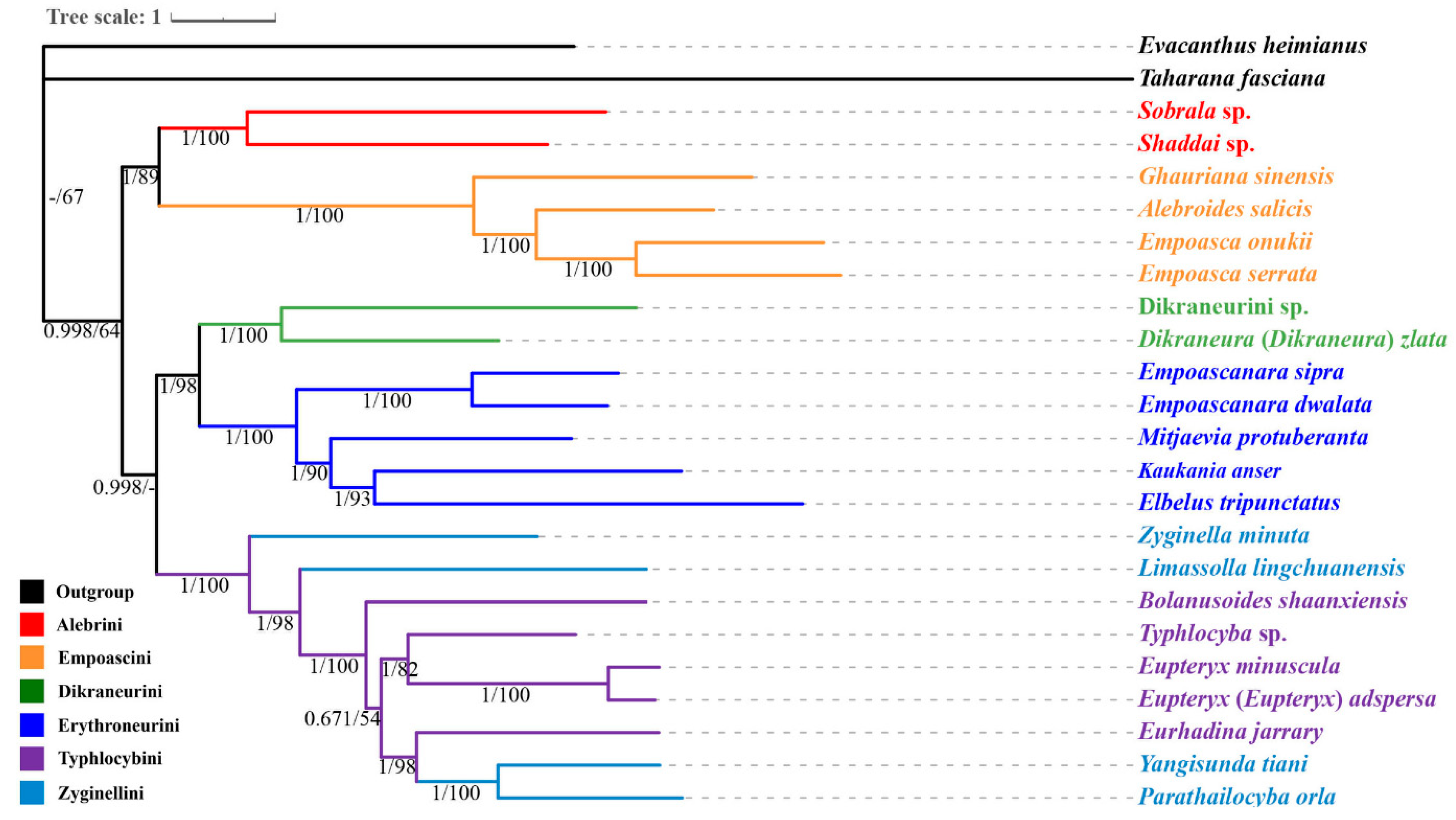 Insects 12 00678 g006