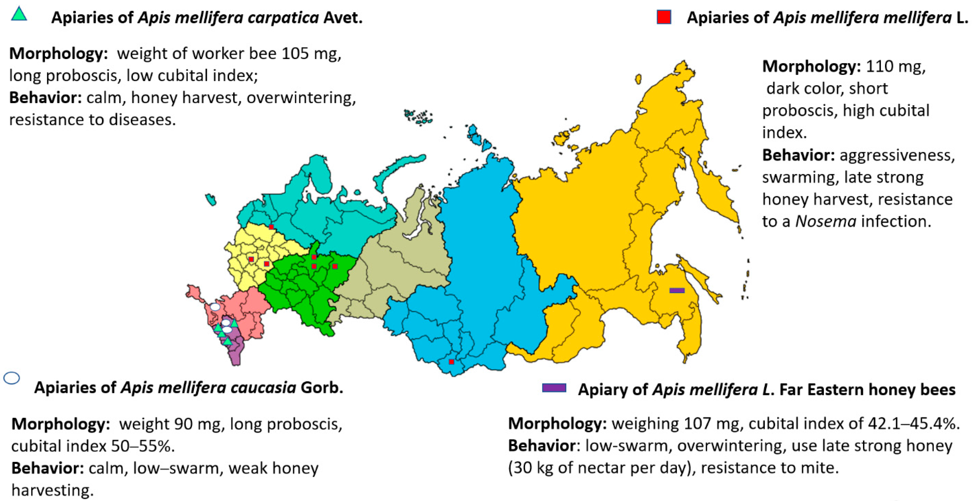 Insects 12 00684 g002