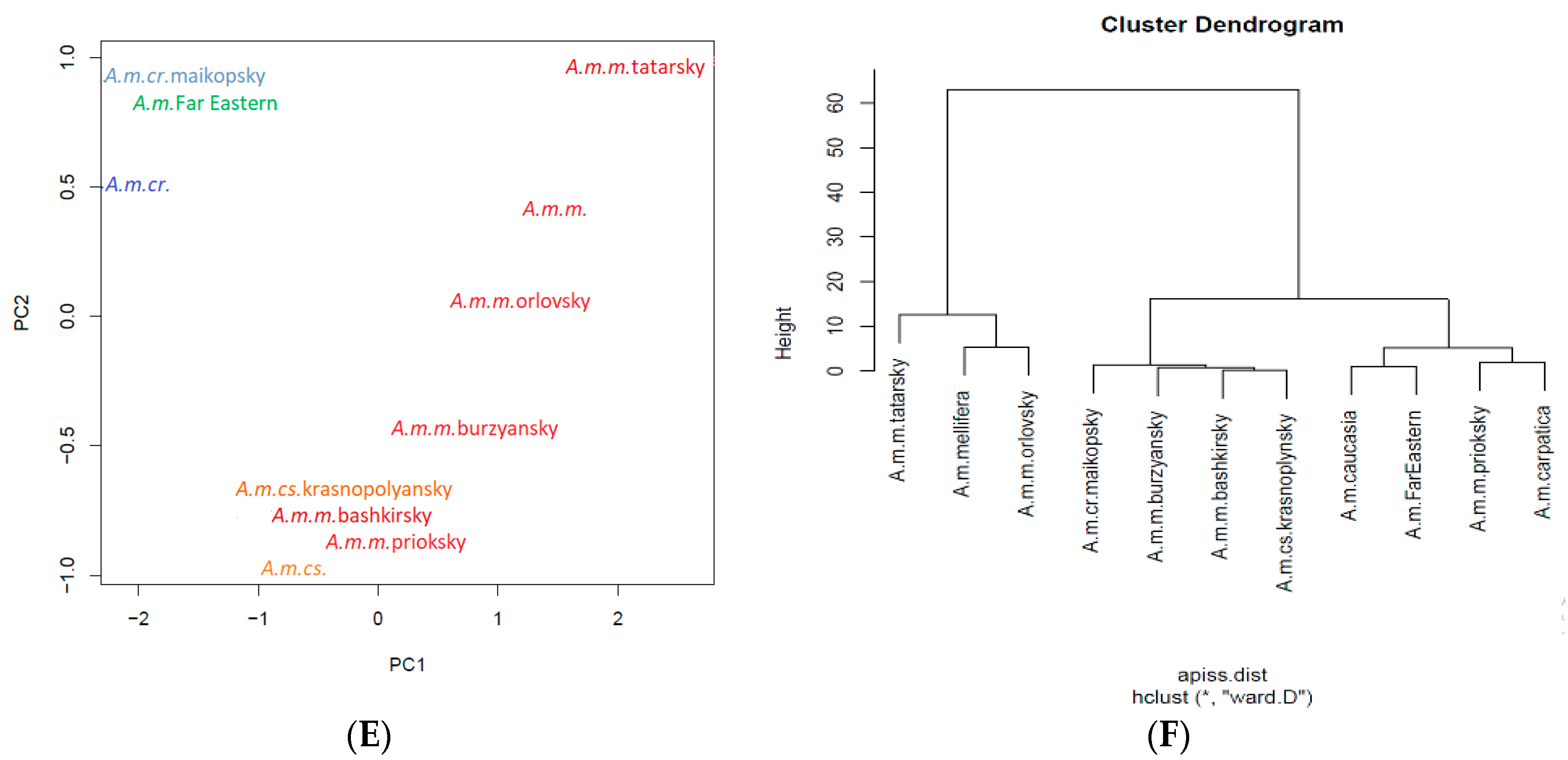 Insects 12 00684 g004b