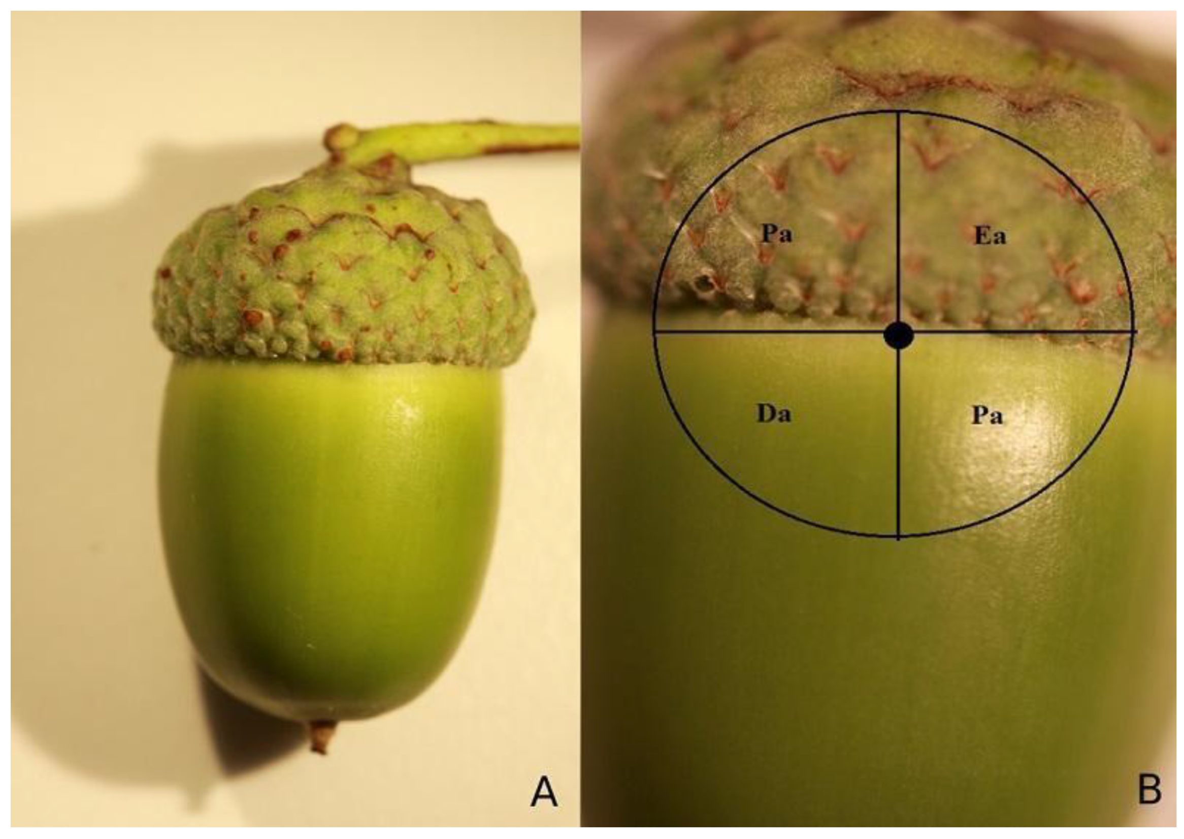 Insects 12 00687 g001 Insects 12 00687 g001