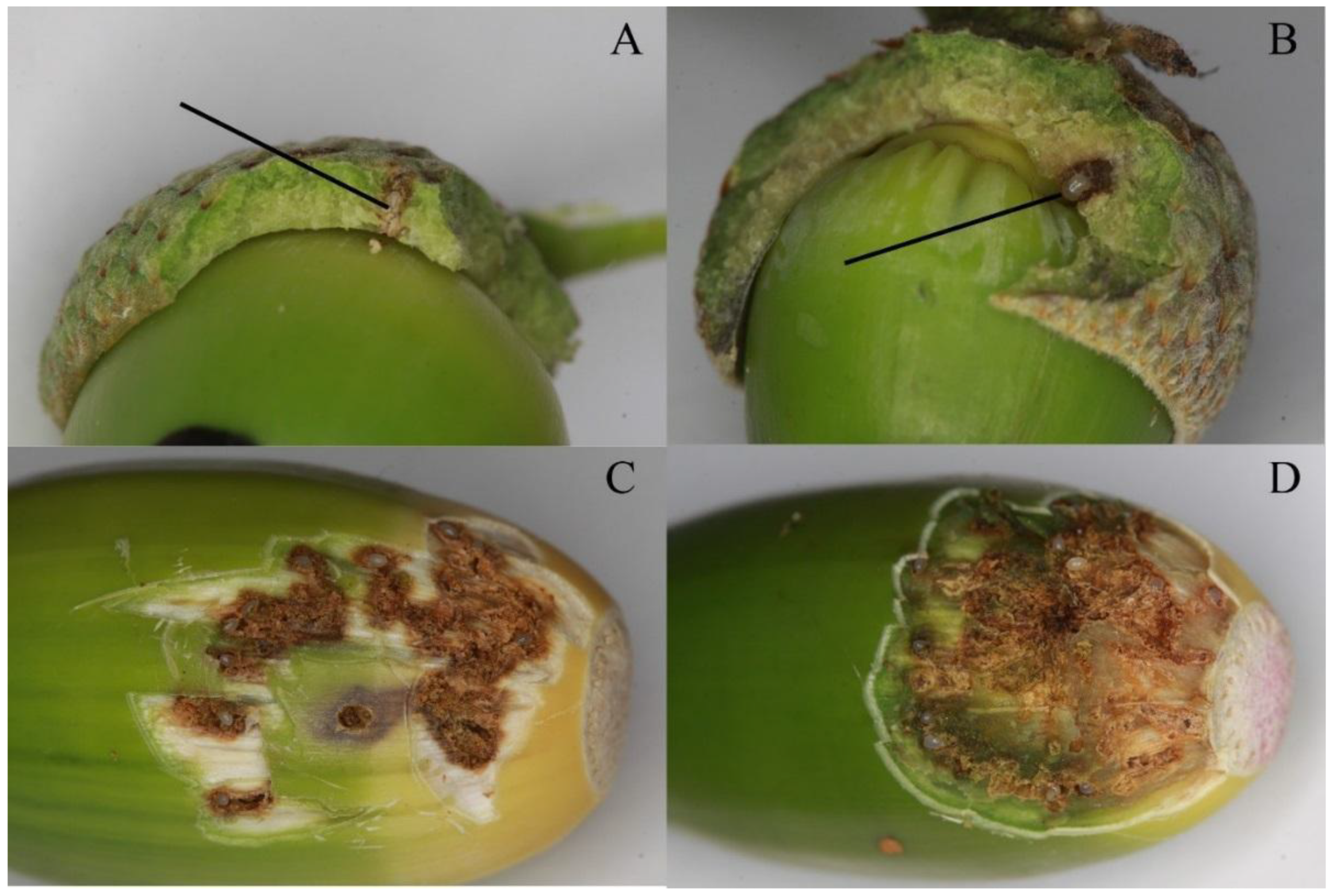 Insects 12 00687 g003 Insects 12 00687 g003