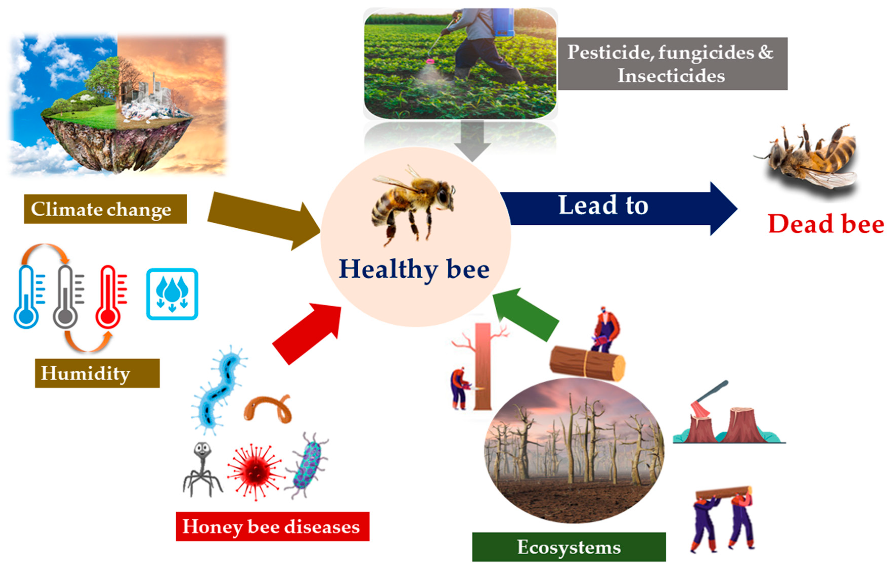 III. Benefits of Insects in Agriculture
