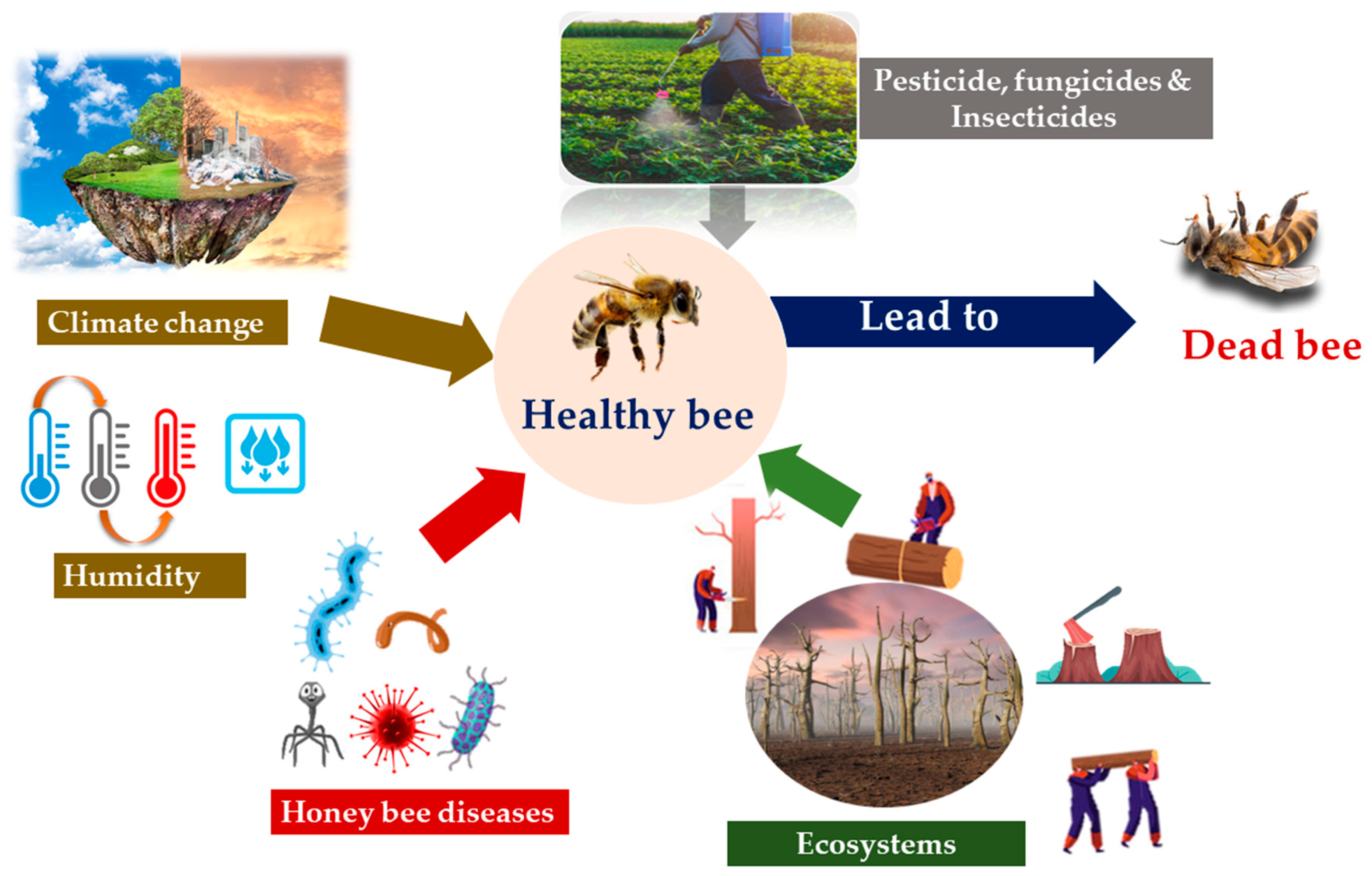 Insects, Free Full-Text