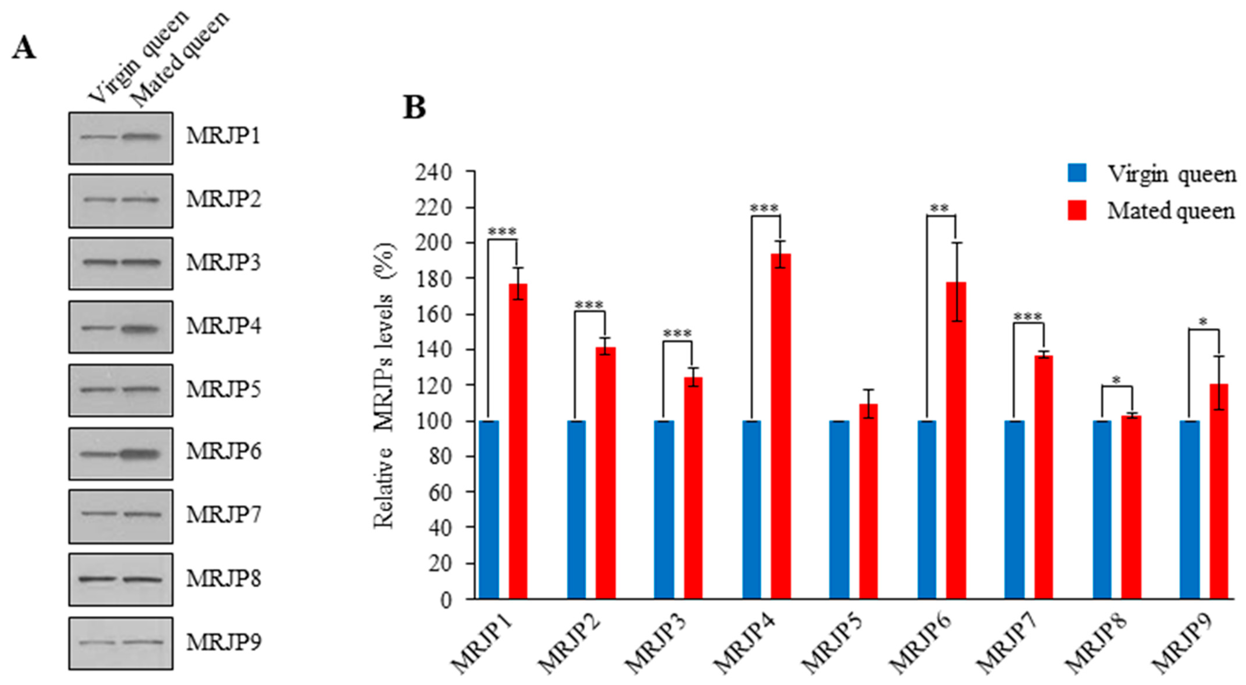Insects 12 00690 g008