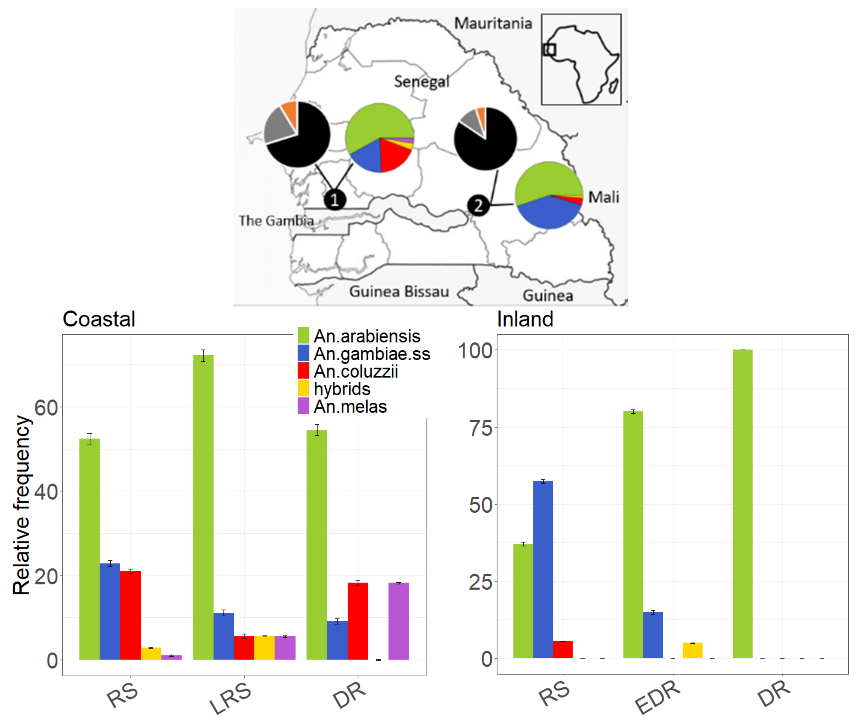 Insects 12 00692 g001 550