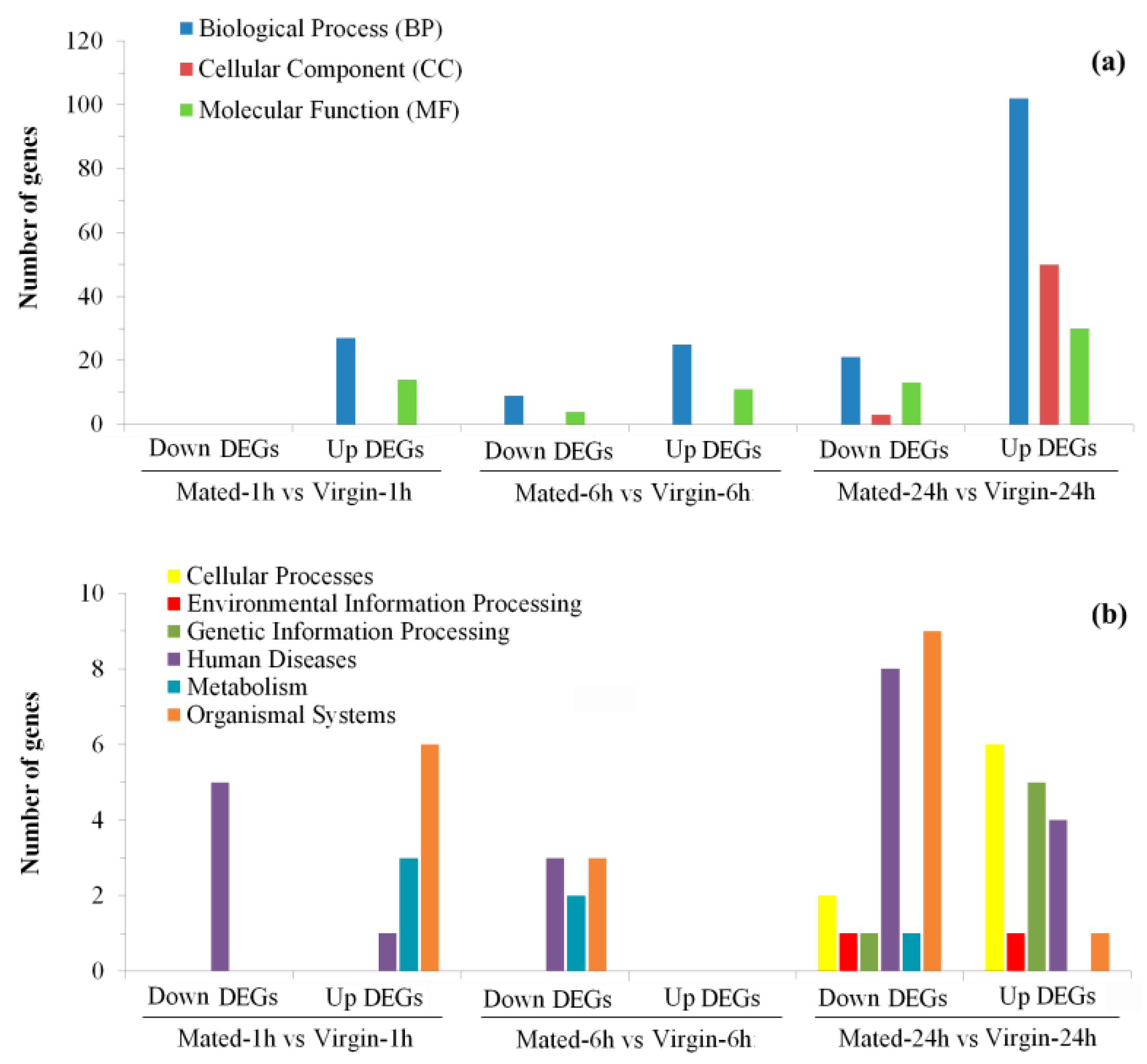 Insects 12 00693 g003