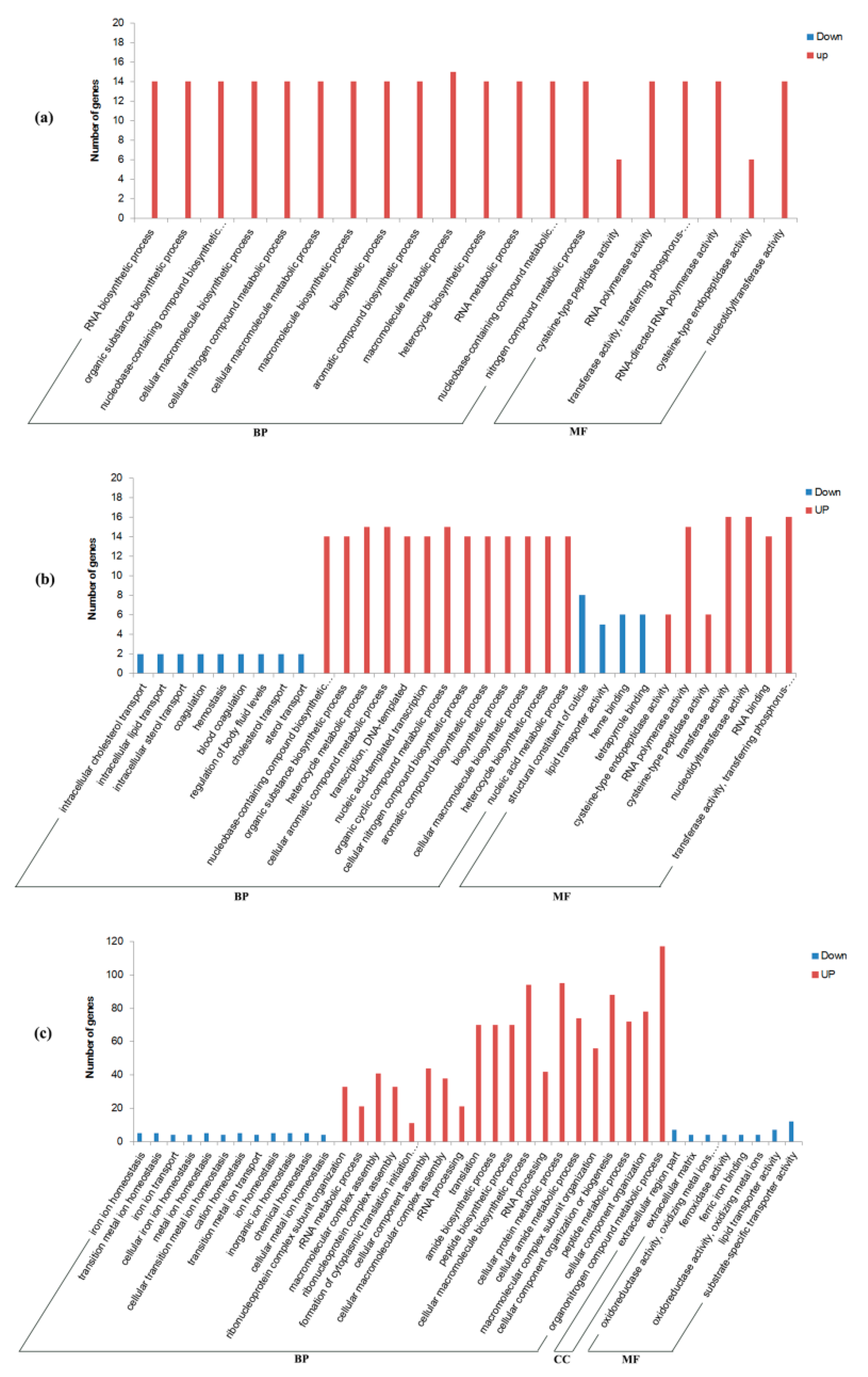 Insects 12 00693 g004