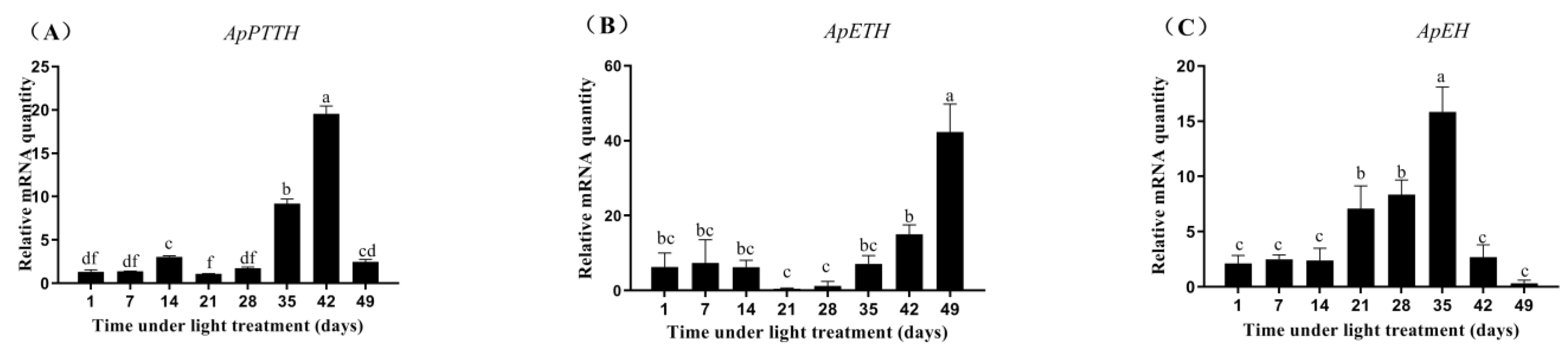 Insects 12 00699 g006