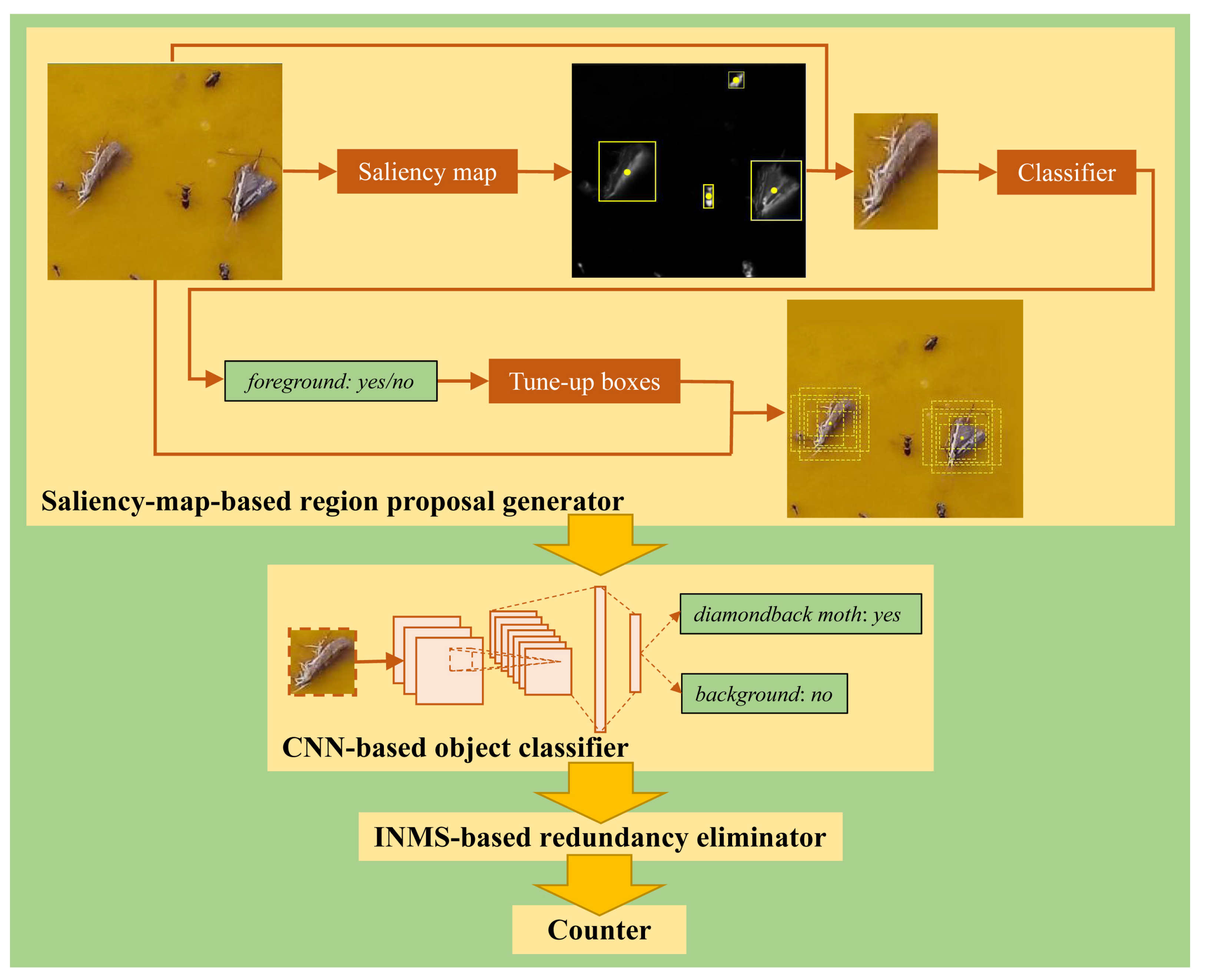 Insects 12 00705 g002 550