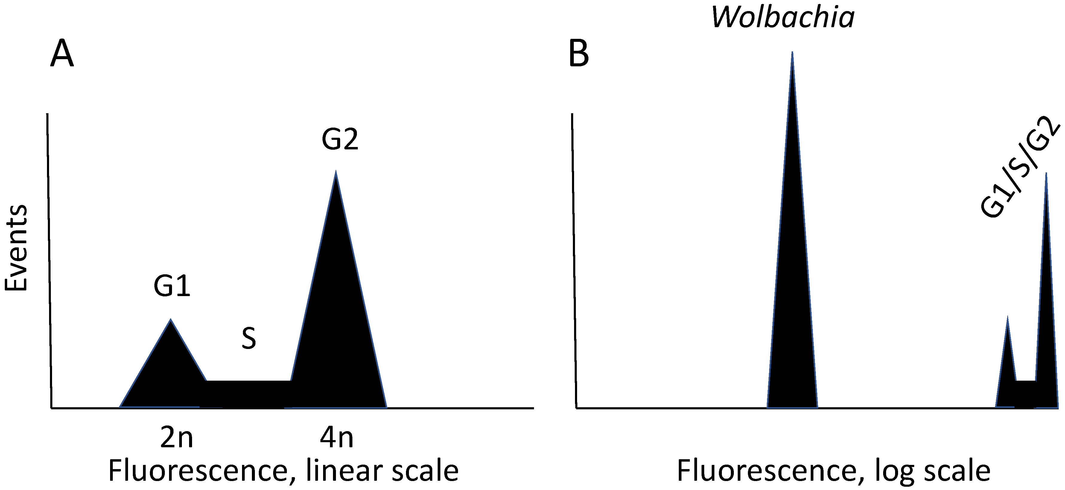 Insects 12 00706 g001